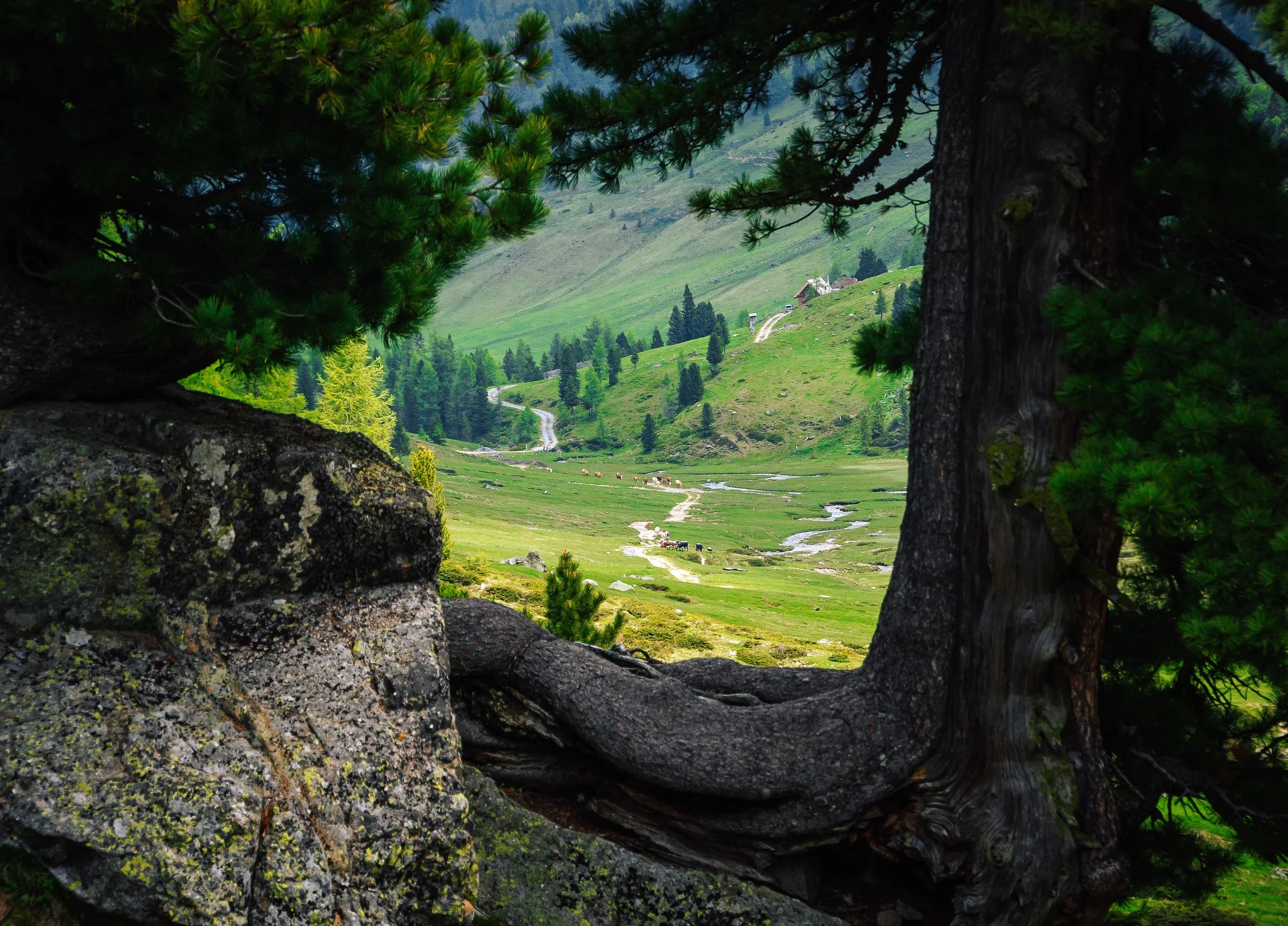 DSC02035 Kopie 2.jpg