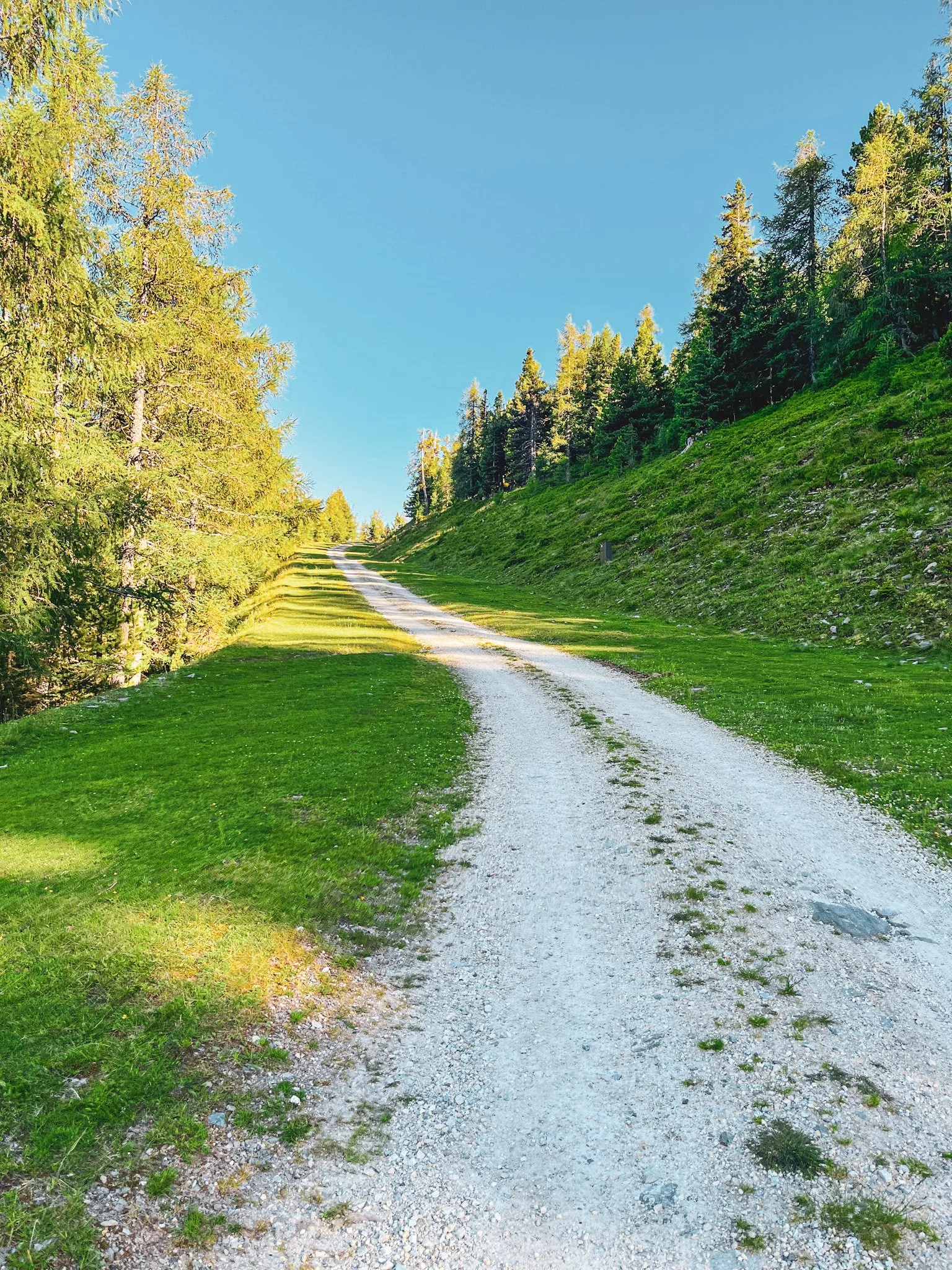 Der Weg führt über die Familienabfahrt hinauf