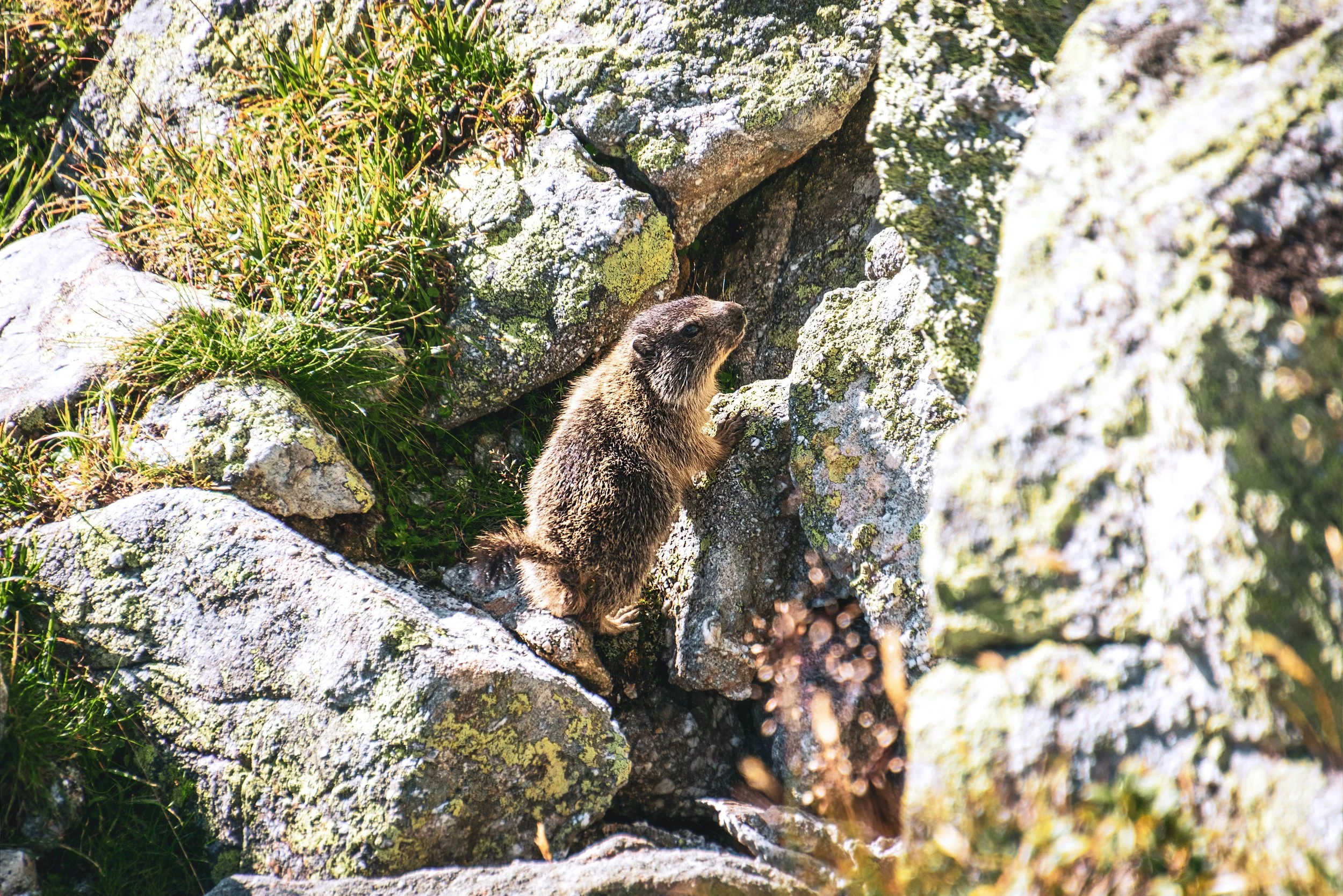 _DSC0649-Bearbeitet Kopie.jpg