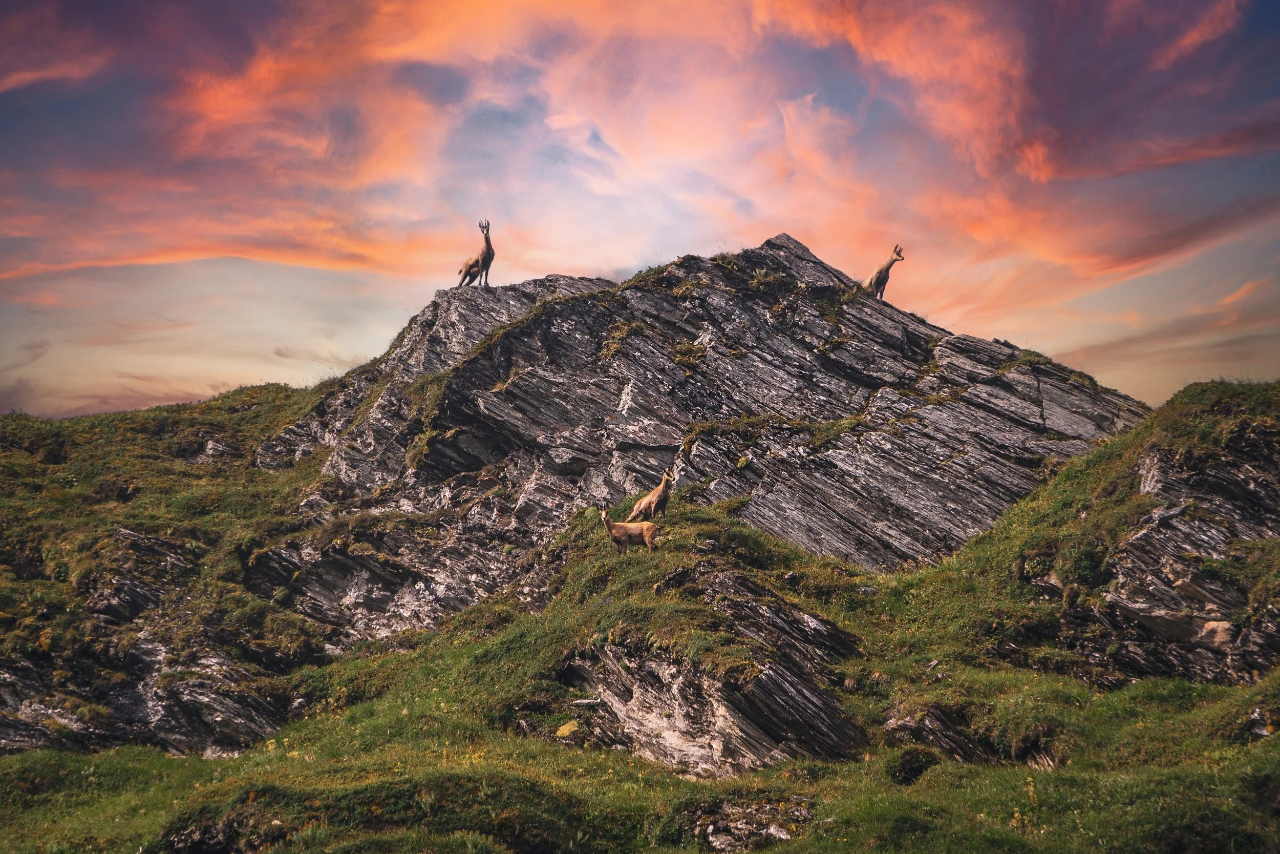 DSC05831 Kopie_Himmel.jpg