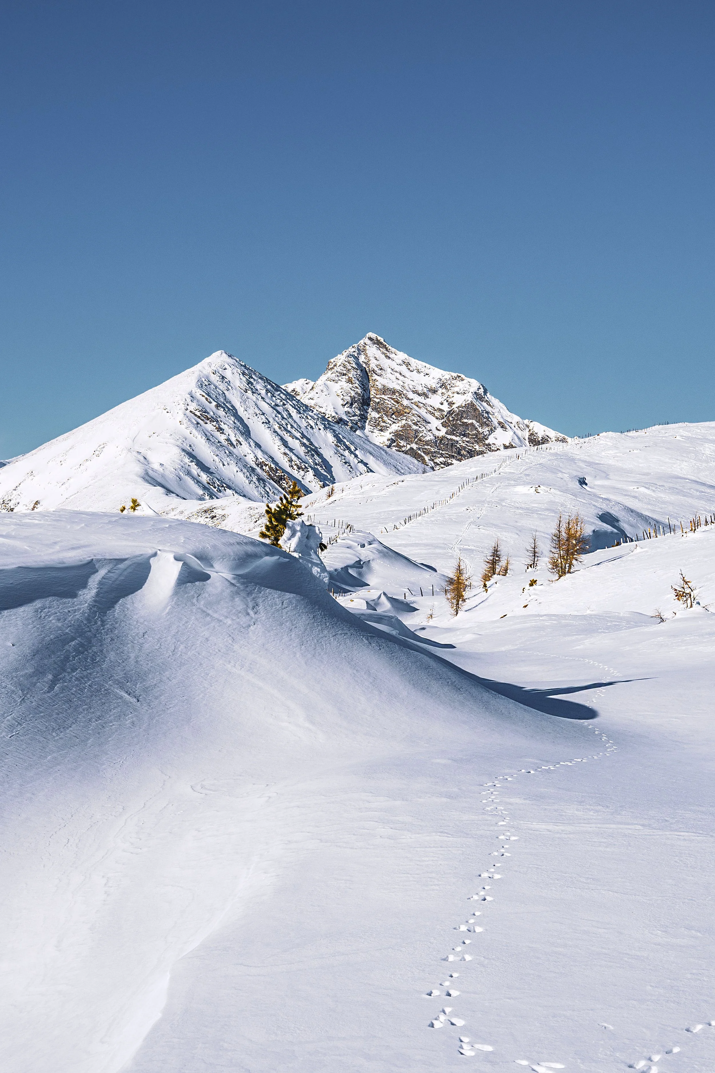 DSC01965 Kopie 2.jpg