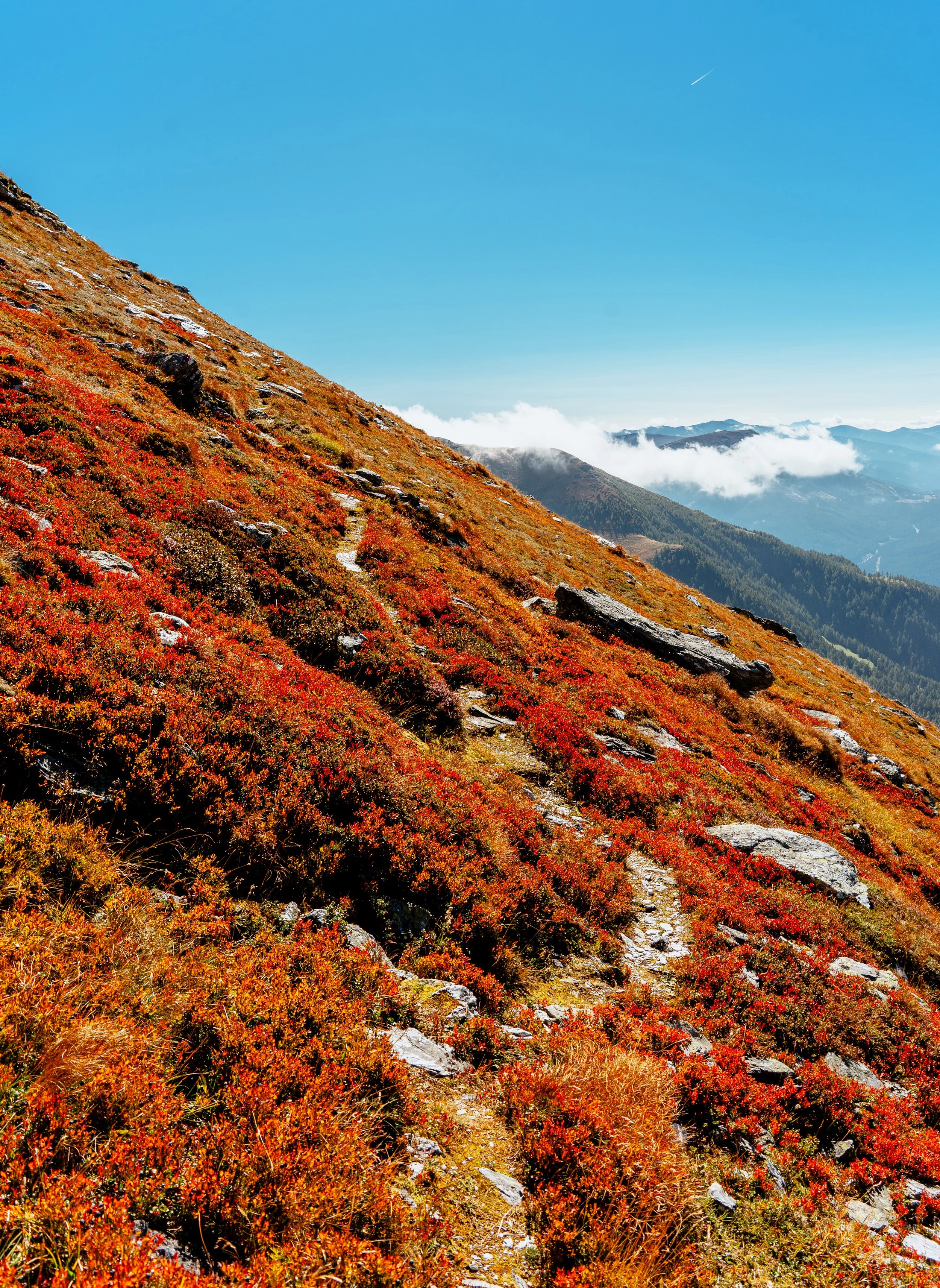 Ein Genuss hier unterwegs zu sein
