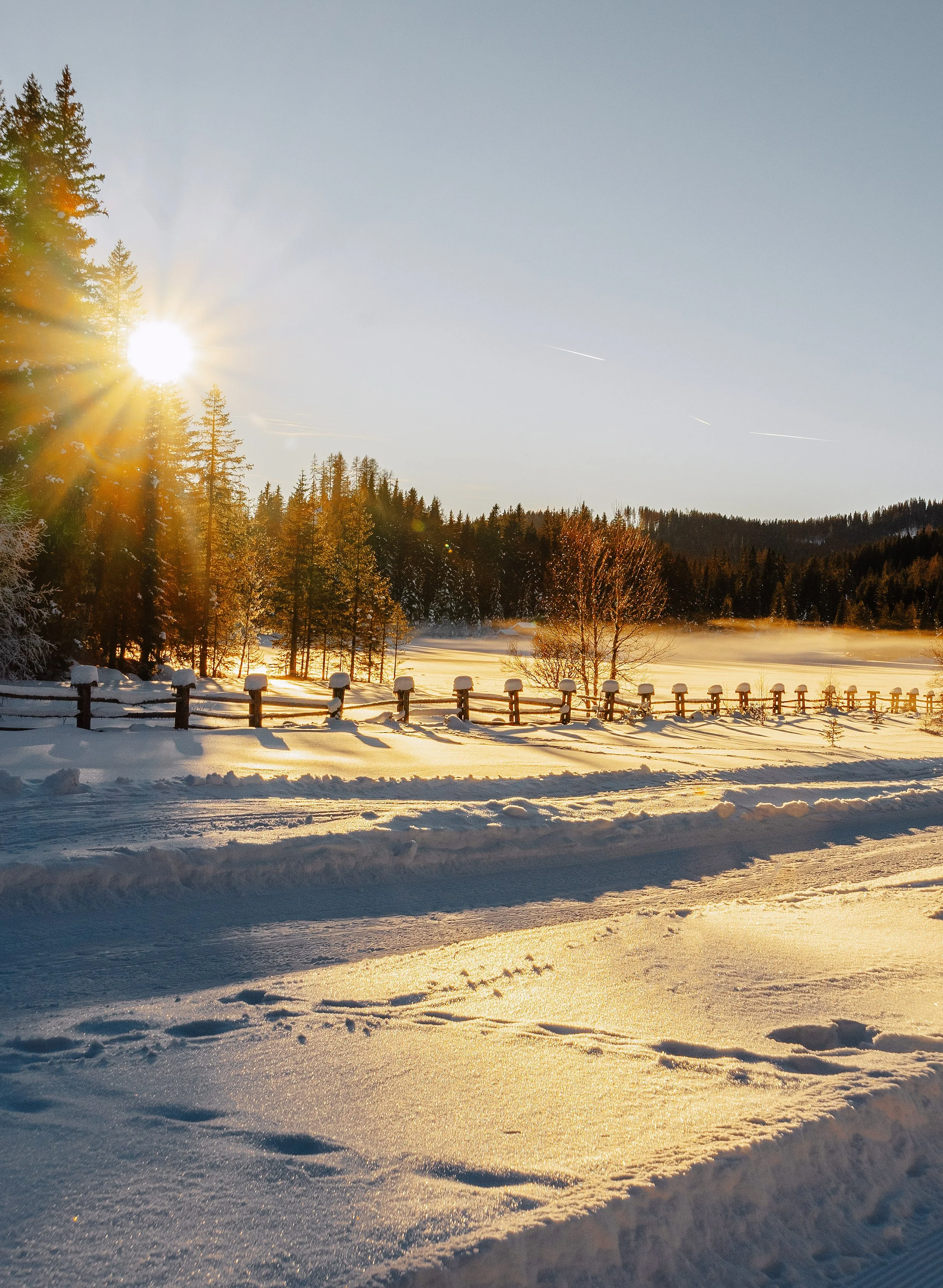 DSC08893 Kopie-2 Kopie.jpg