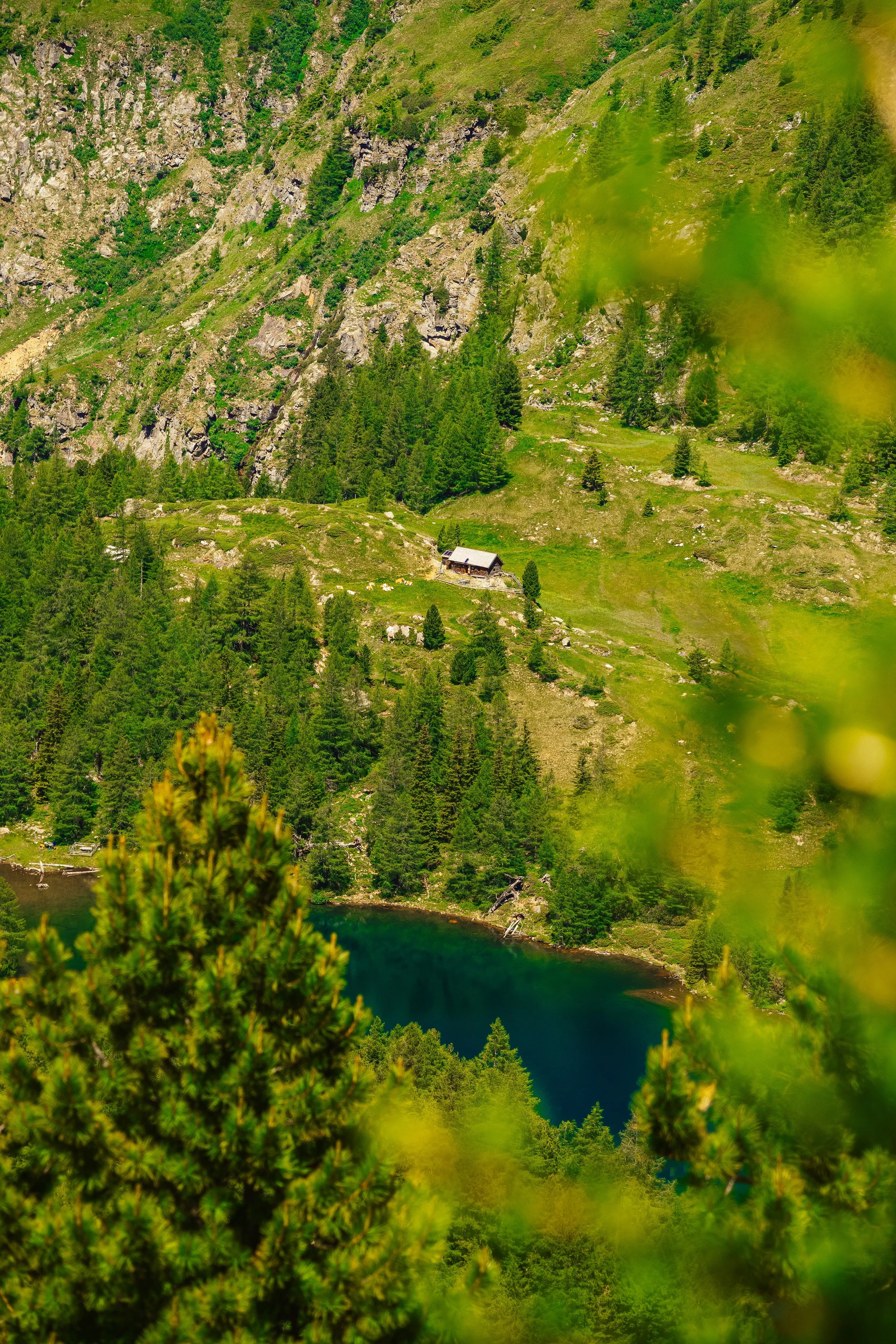 Blick vom Mittleren zum Unteren Lanschitzsee inkl. Landschitzshüttl