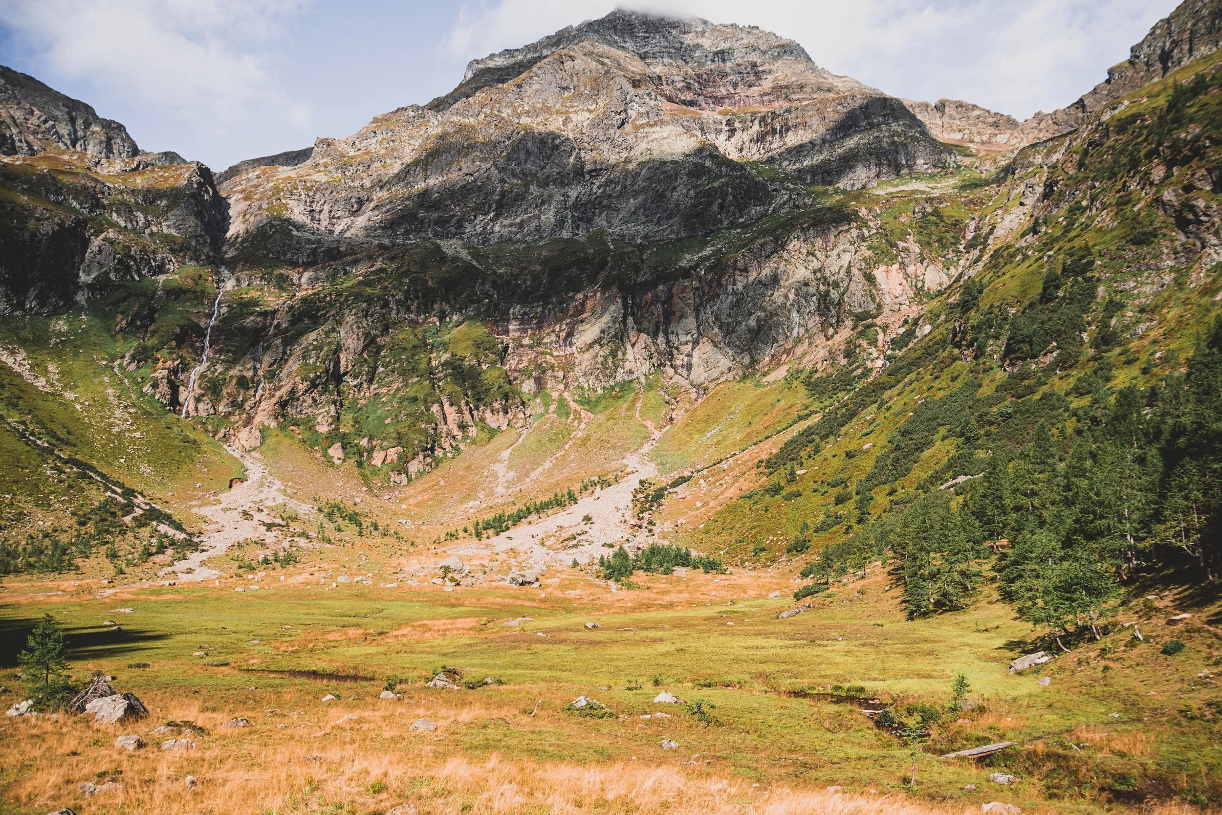 Im Gollinganger fängt es schon an zu herbsteln