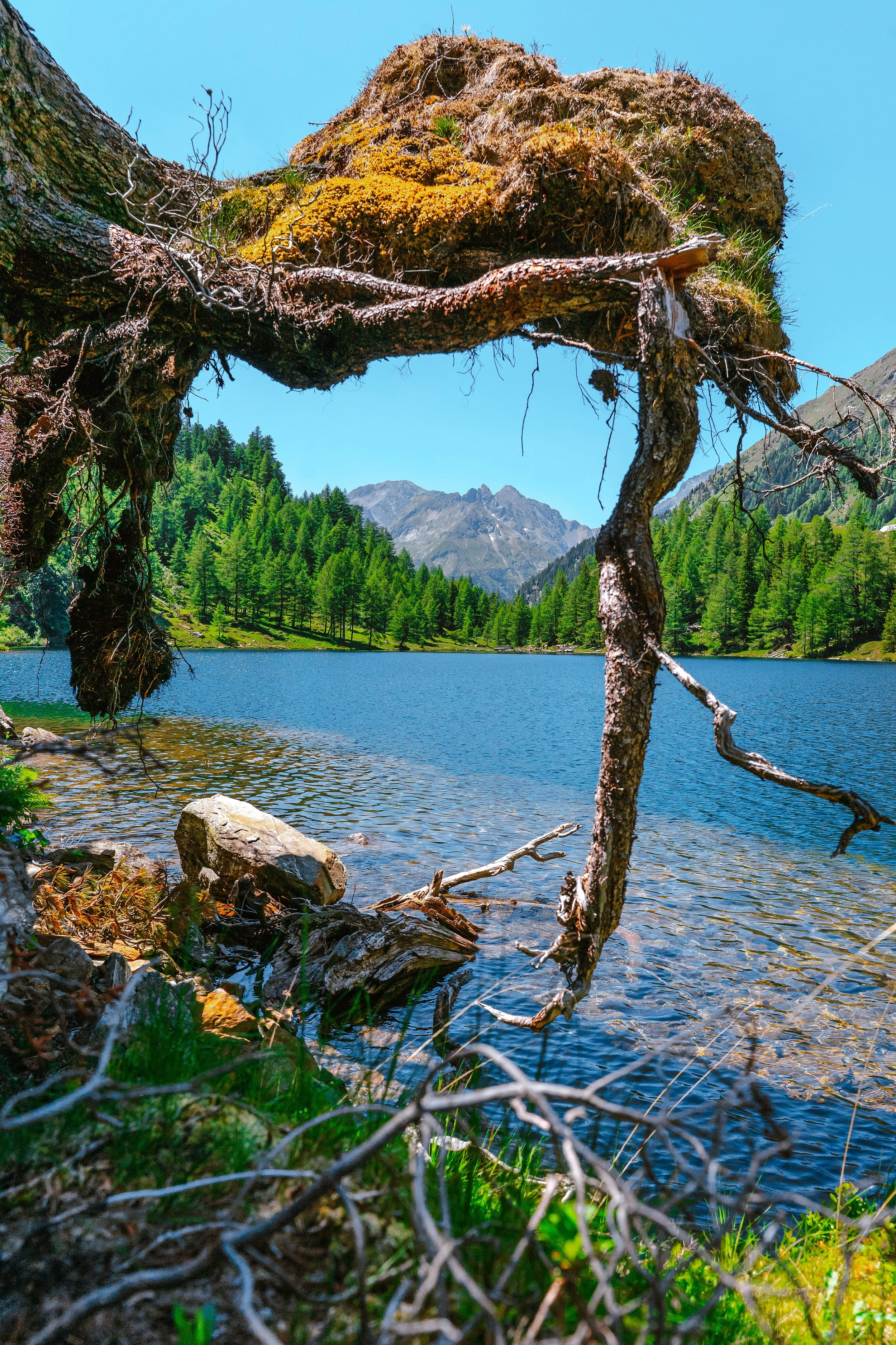 Am unteren Landschitzsee haben wir dieses besondere Platzerl entdeckt