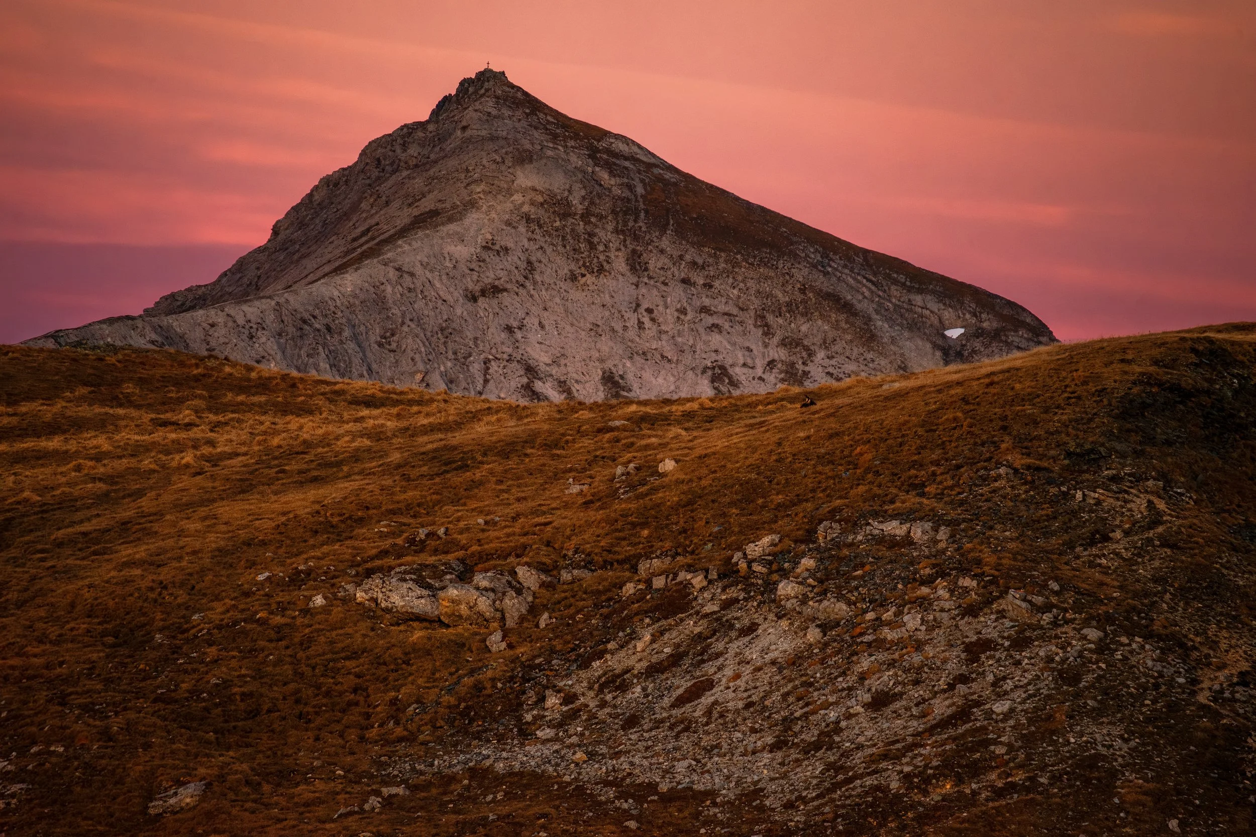 DSC08364-Verbessert-NR Kopie.jpg