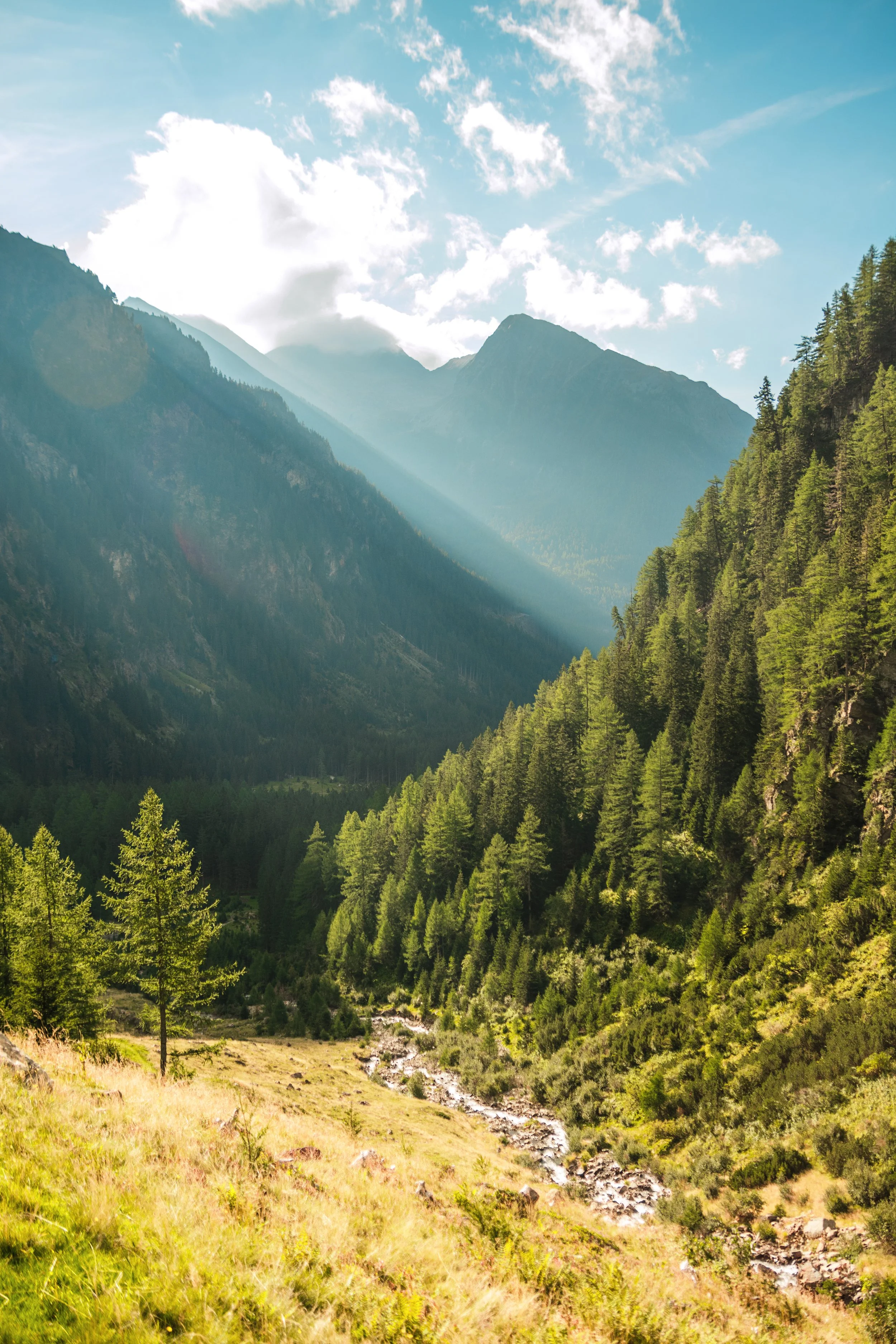 Bergtal mit Bäumen, Fluss und Sonnenstrahlen unter einem blauen Himmel mit Wolken.