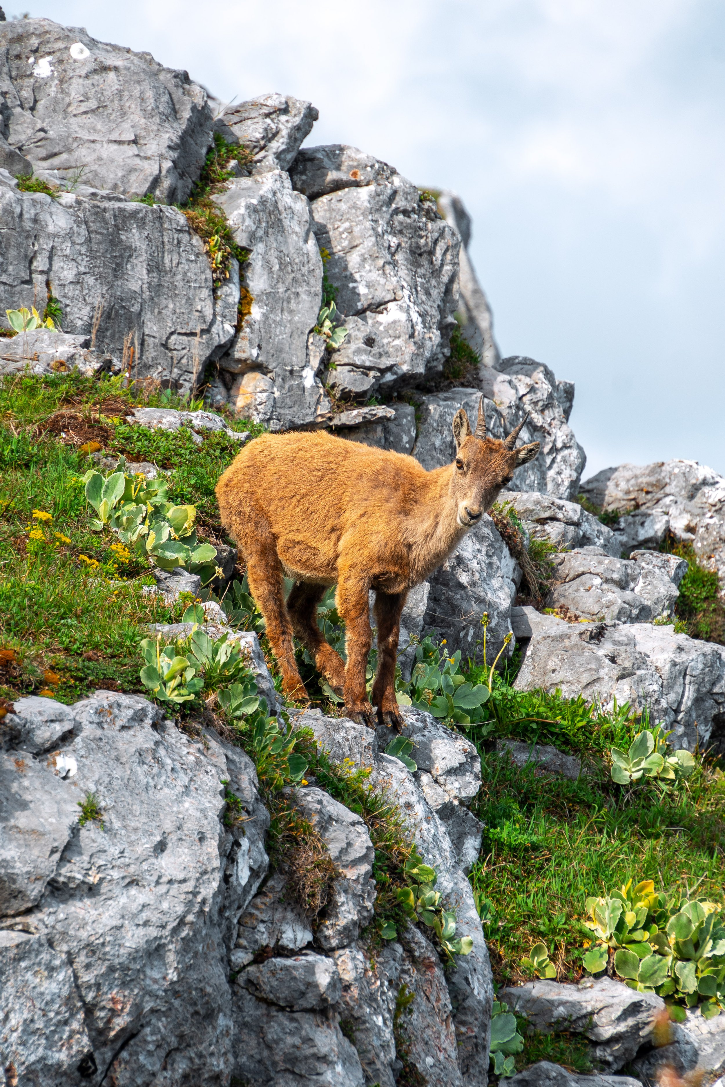 DSC01461 Kopie 2.jpg