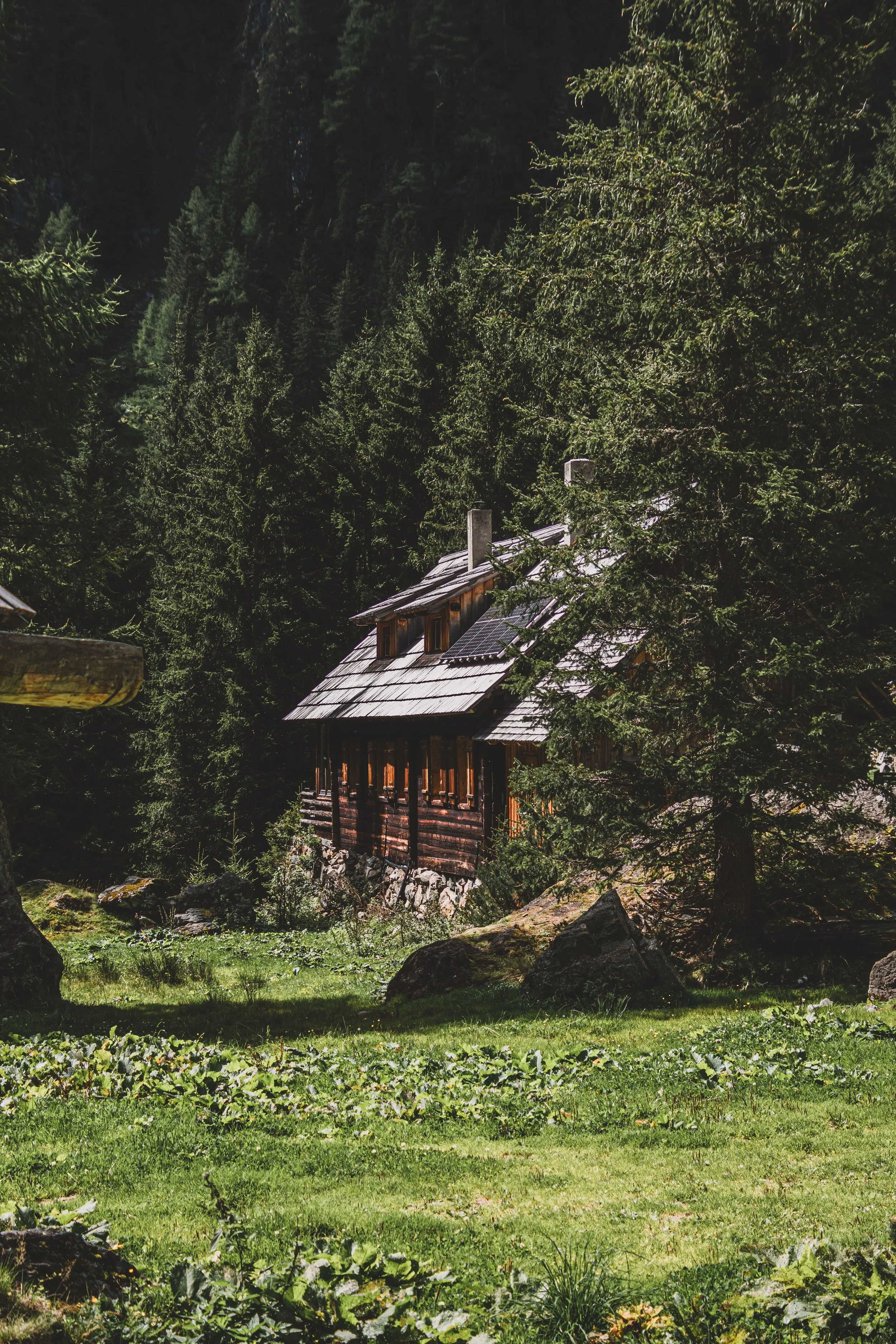 Ein Holzhaus inmitten eines dichten Walds mit hohen Bäumen, umgeben von Gräsern und Felsen.