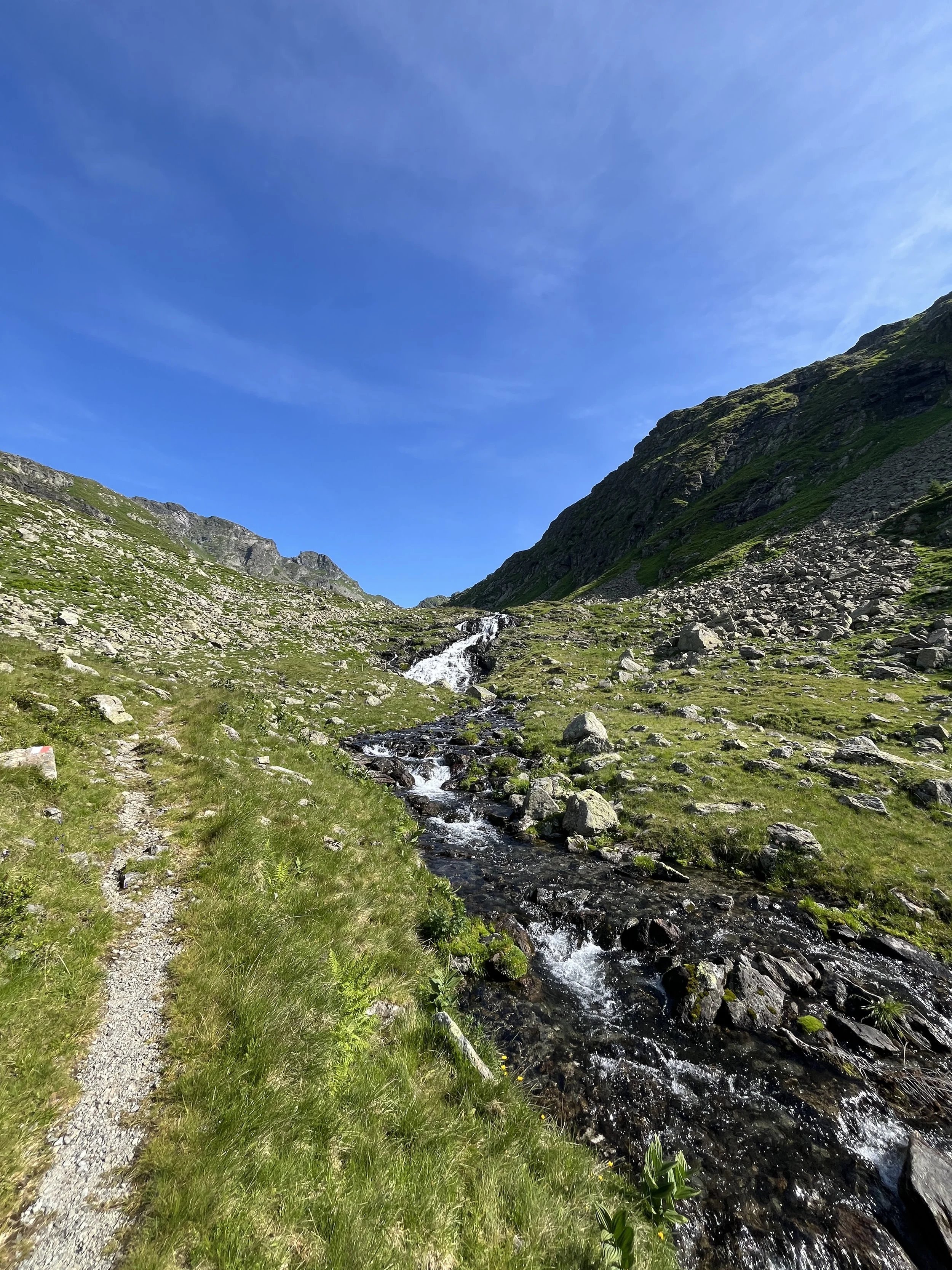 Dem langsam ansteigenden Weg bis zum Zwerfenbergsee folgen 