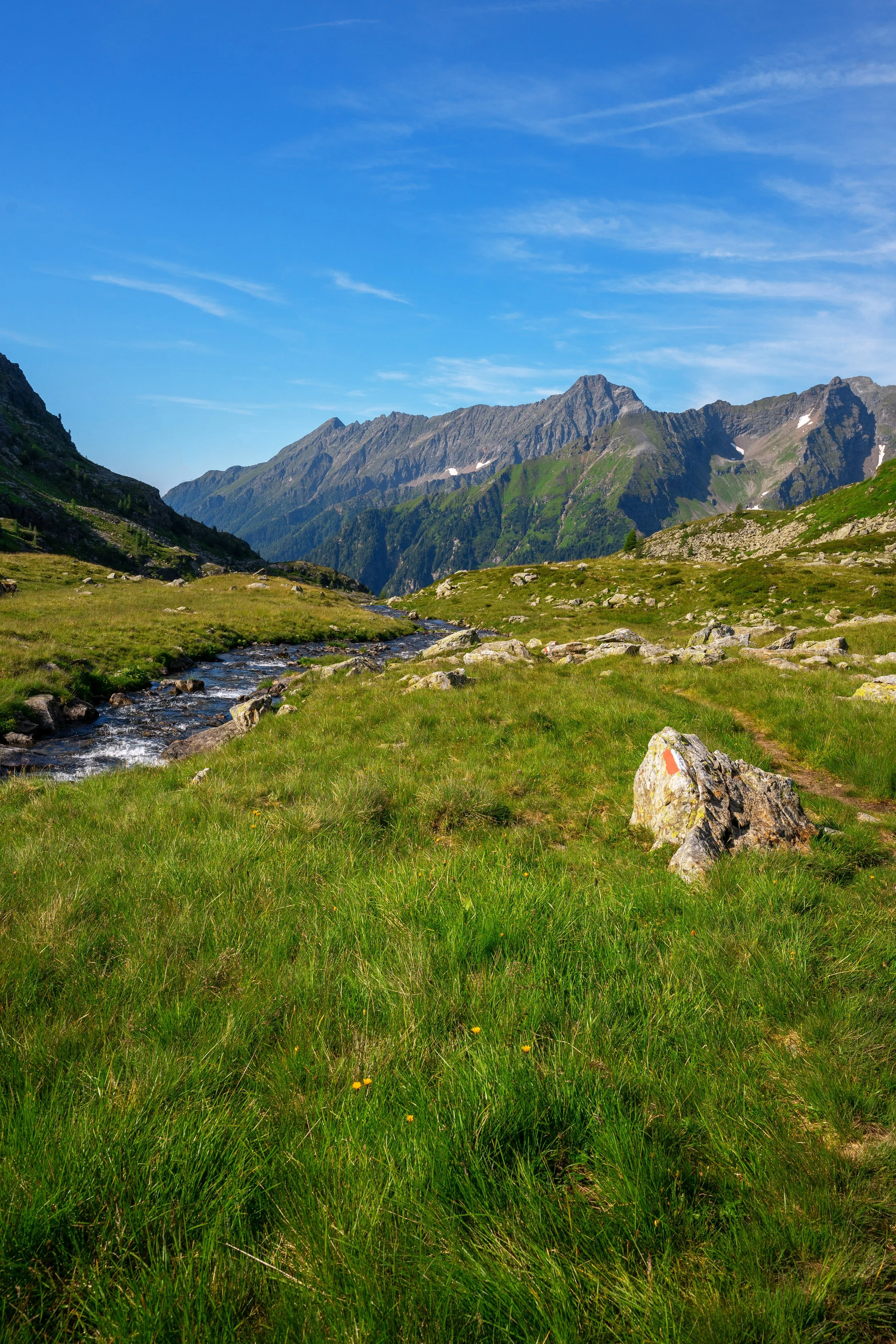 Grüne Wiese in den Bergen mit einem kleinen Bach und einem Wanderweg unter blauem Himmel.