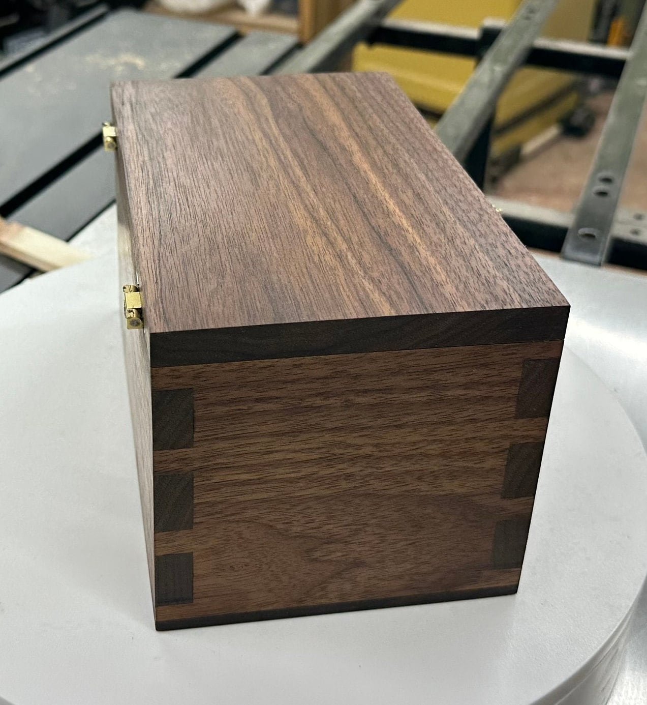 https://i.etsystatic.com/27699918/r/il/7a9626/4945088820/il_fullxfull.4945088820_lra5.jpg