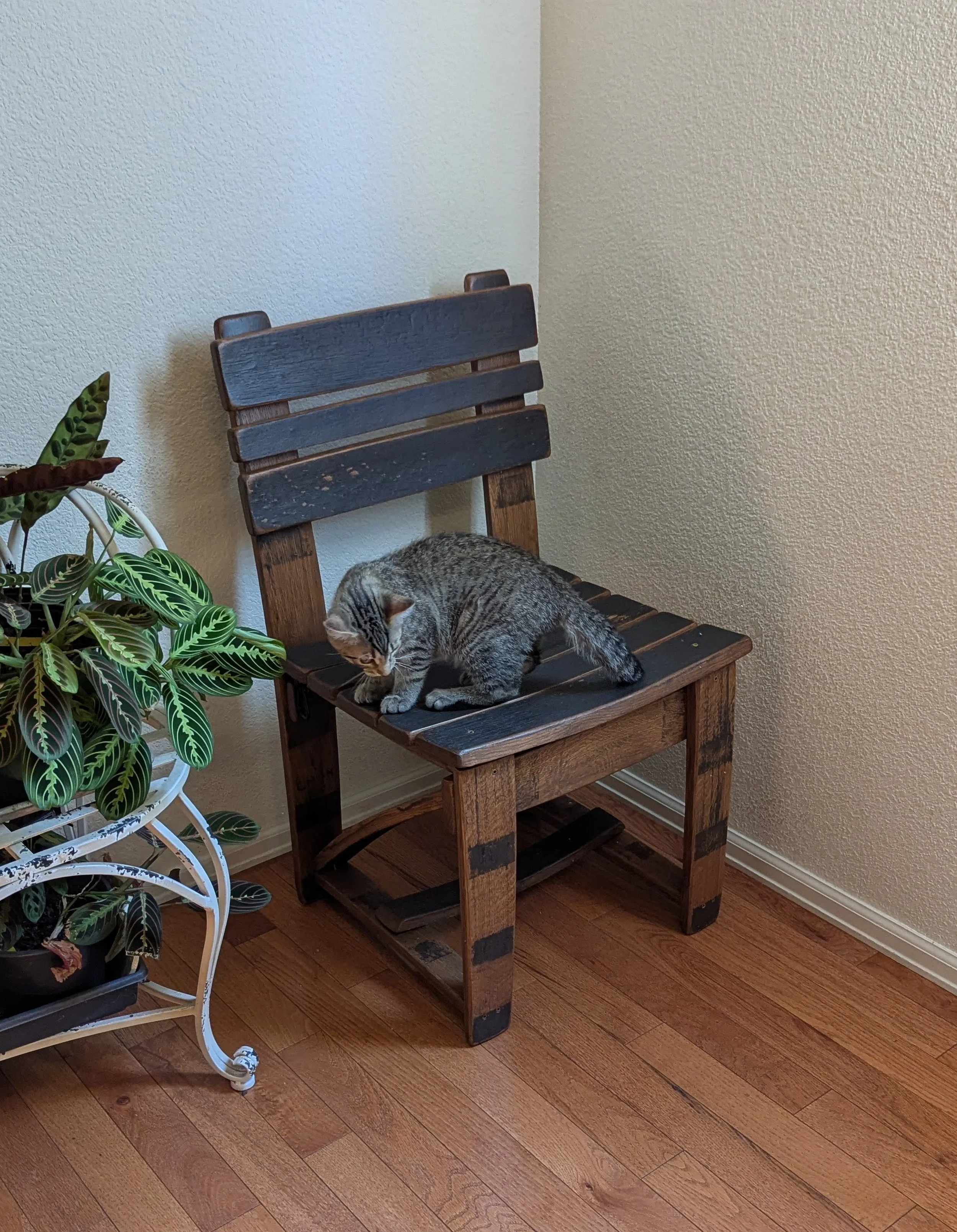 chair2.jpg