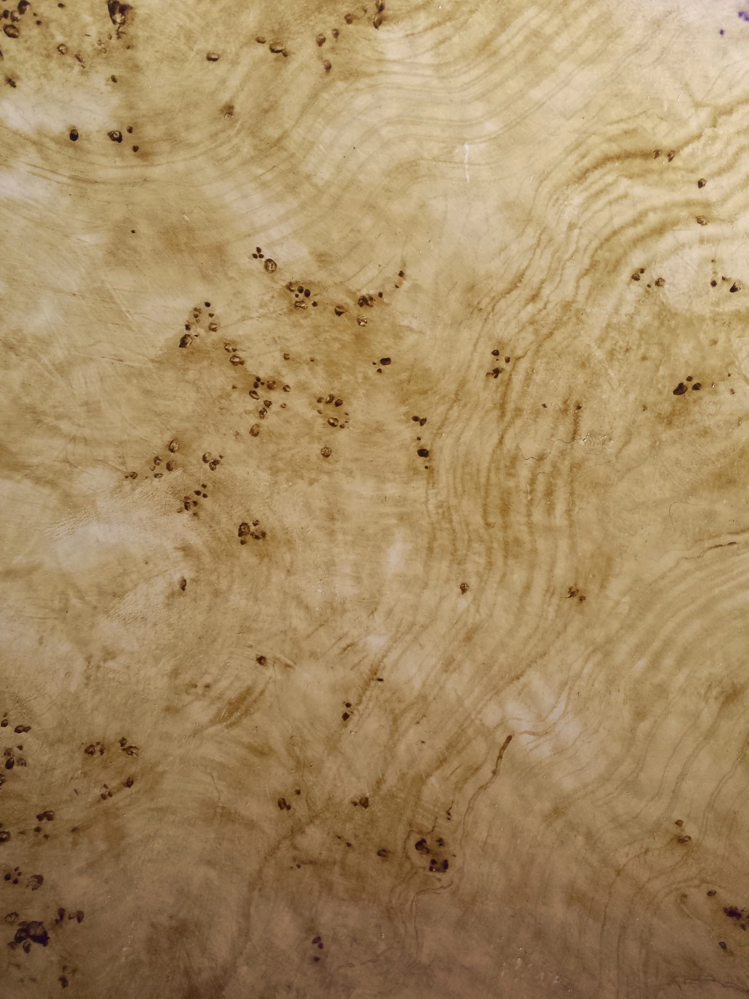 20160227_115342 2.jpg