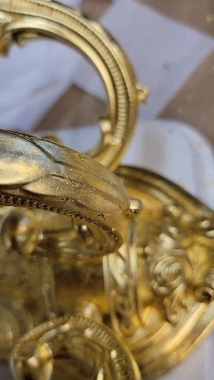 2023-11-12 15.25.25.jpg