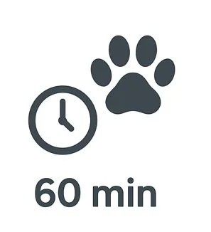 60 Minute Dog Training Session with you and your dog