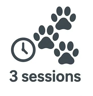 3 lessons: Fetch a Few.