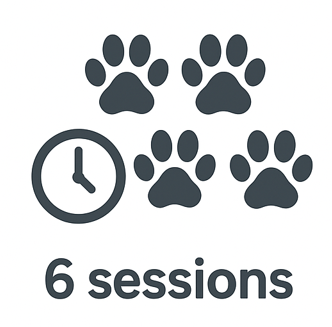 6 lessons: Fetch the Full Set