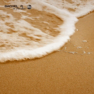 BAC_Bachelor_In_Paradise_Beach_Announce_1x1_v6.gif