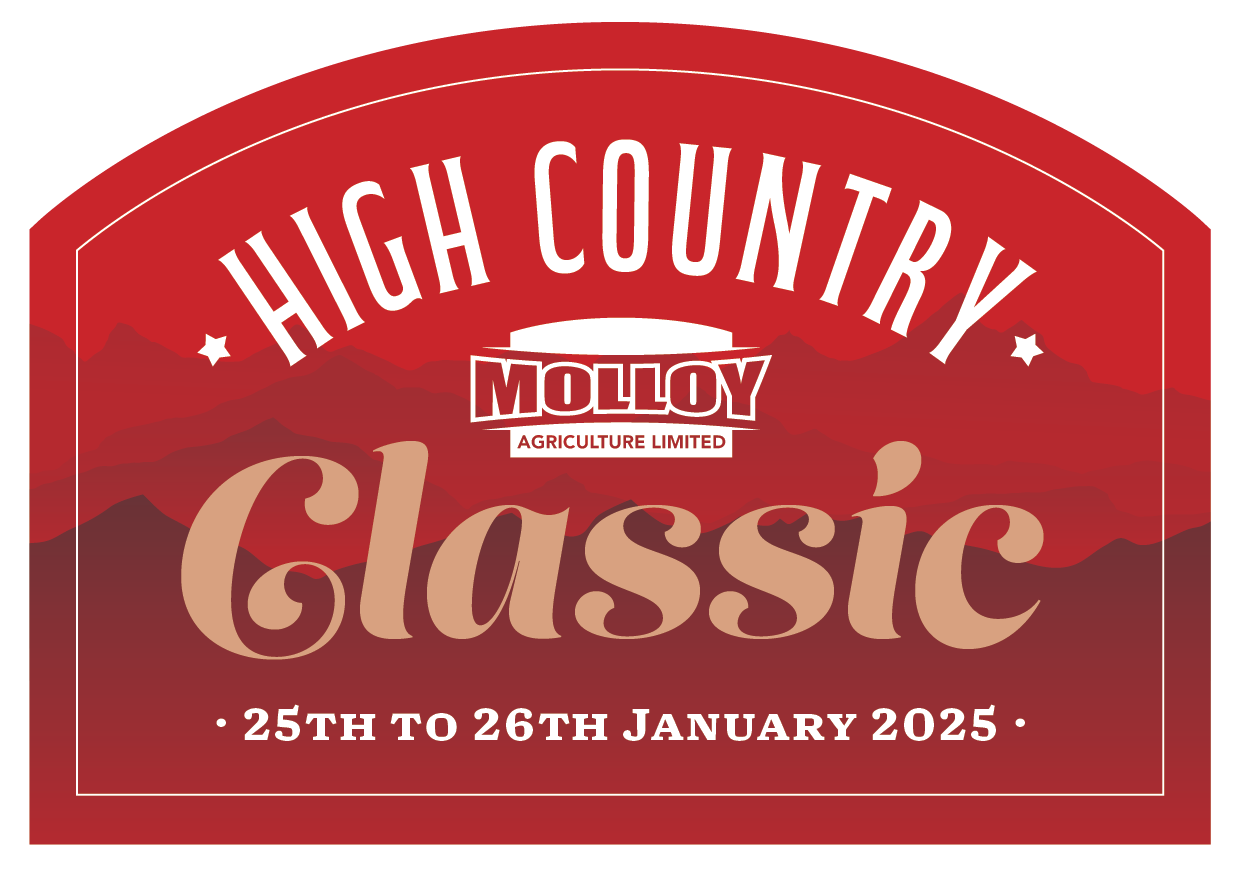 HCC2025_headers-03.png