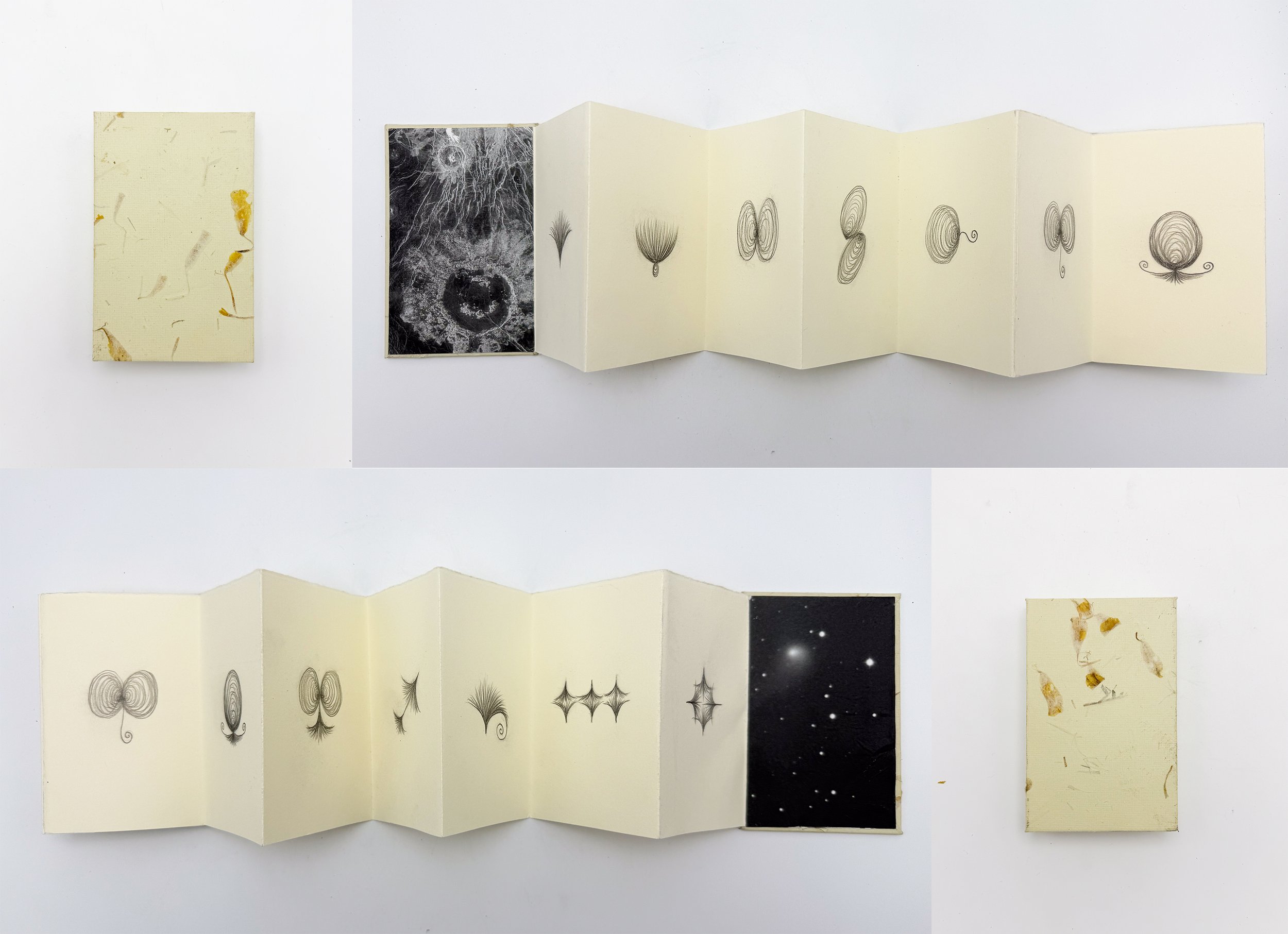 Ade's Zodiac, 2025, graphite on handmade accordion book, 5 1/4 x 47 1/2 inches open