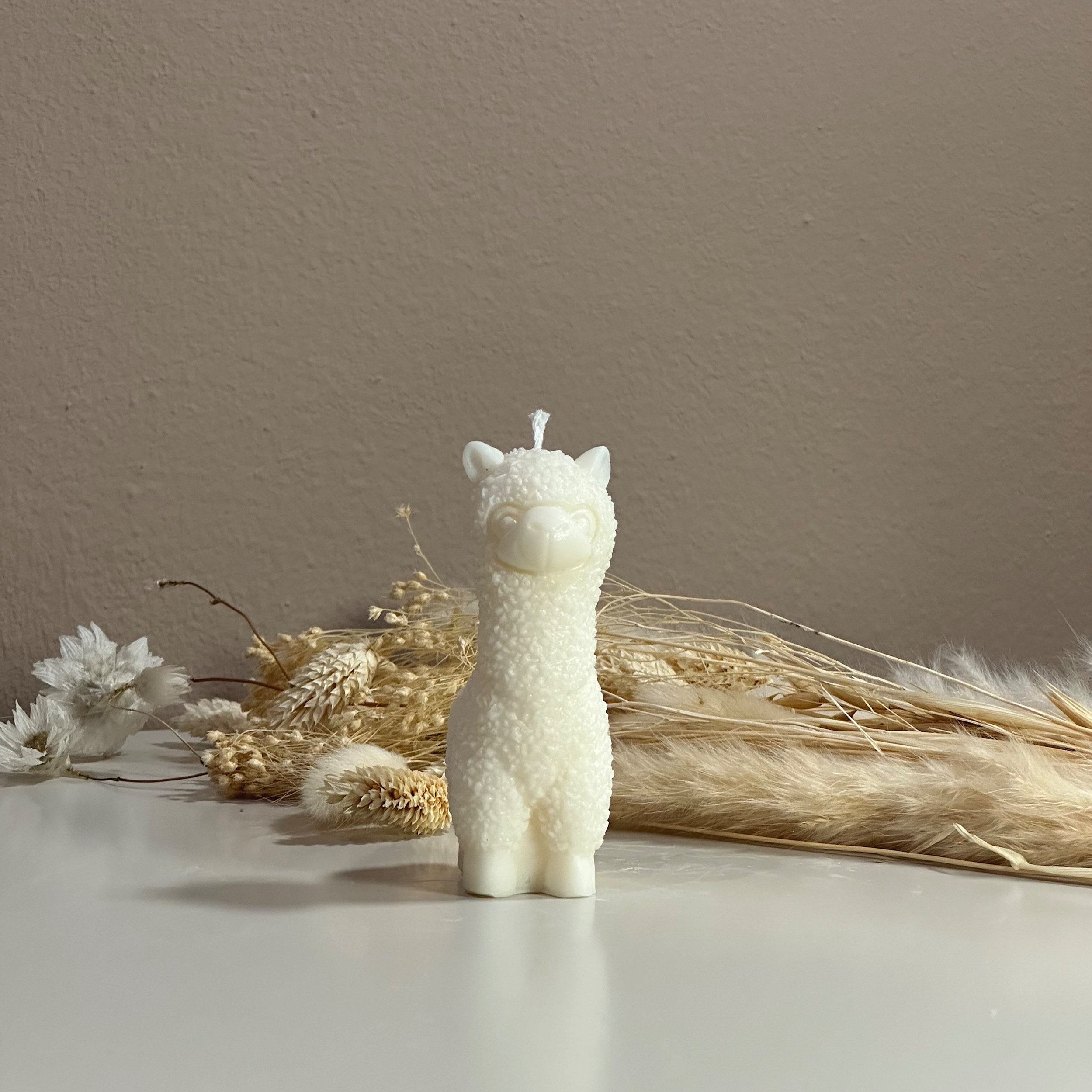 Alpaca