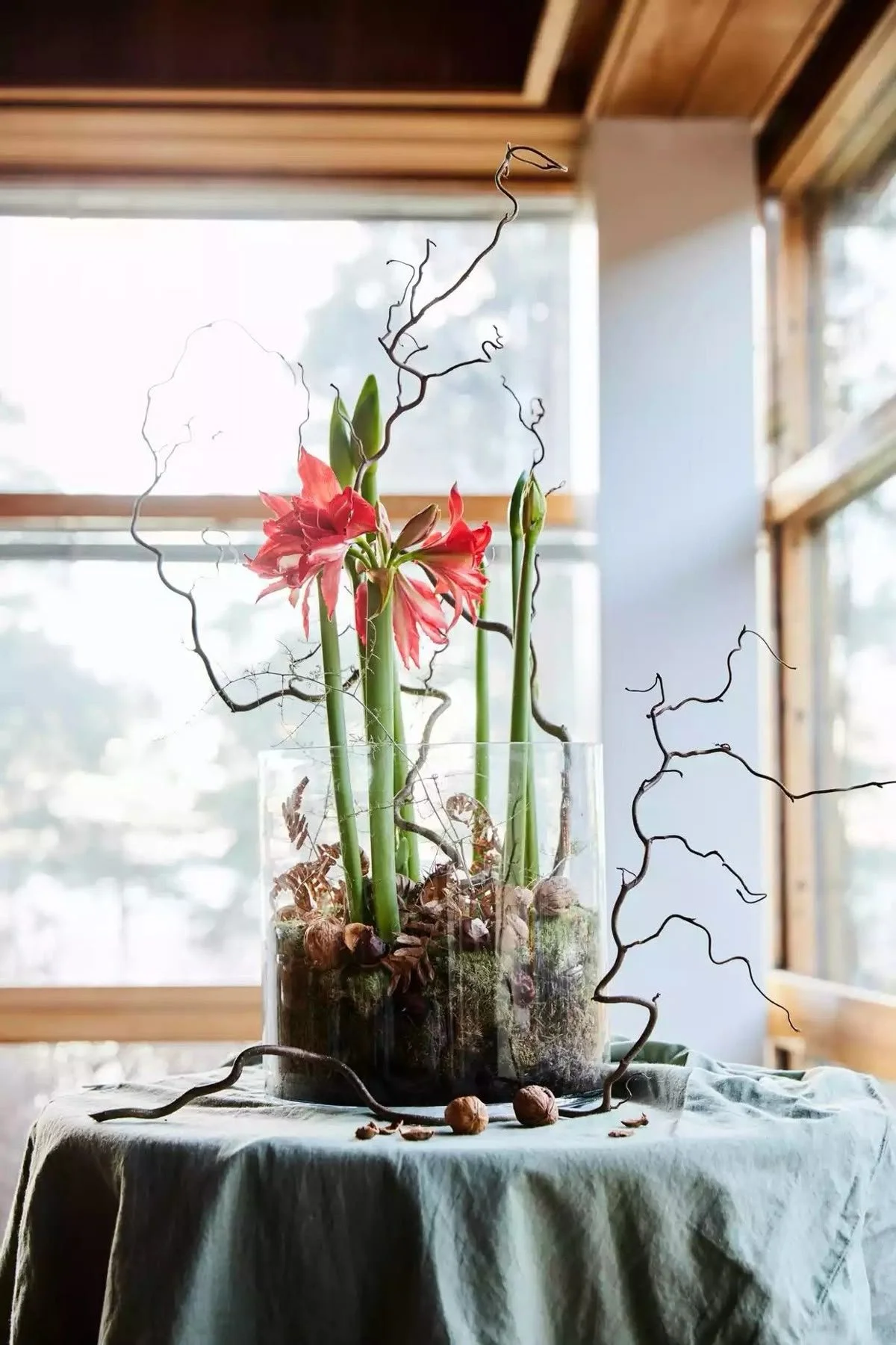 Winter Blooms and Branches