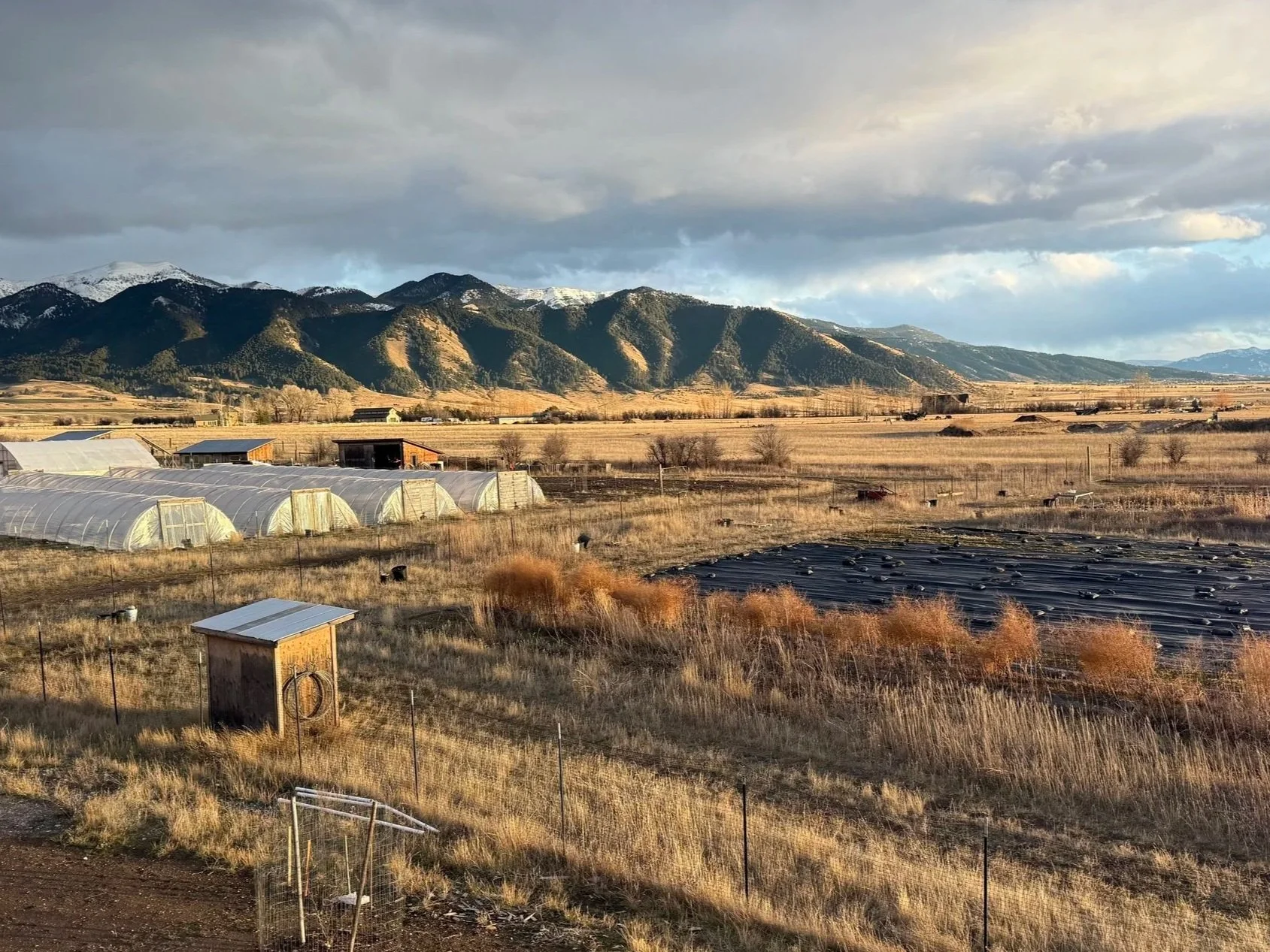 January: Dark days, bright skies ahead