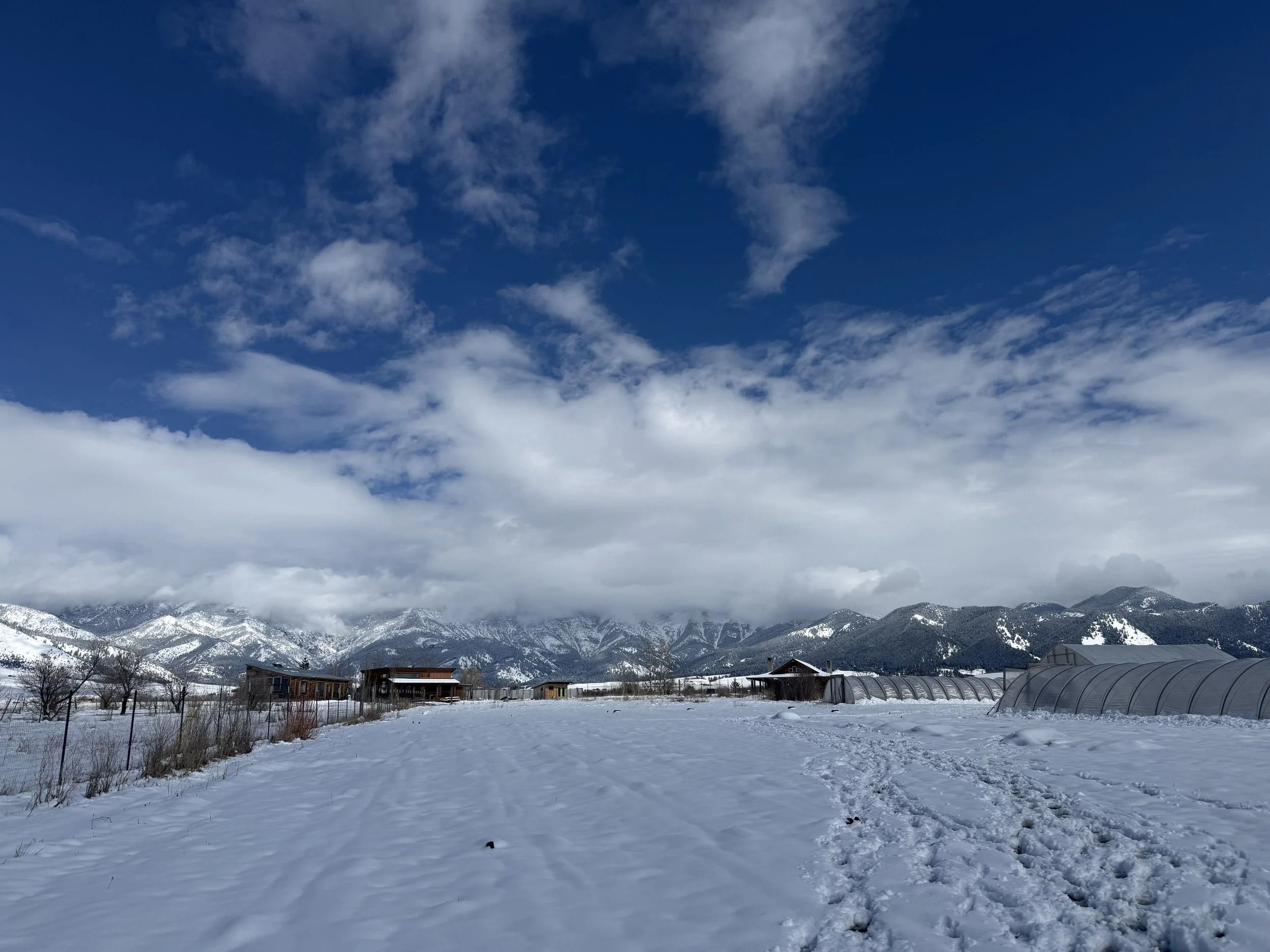IMG_7889.jpeg