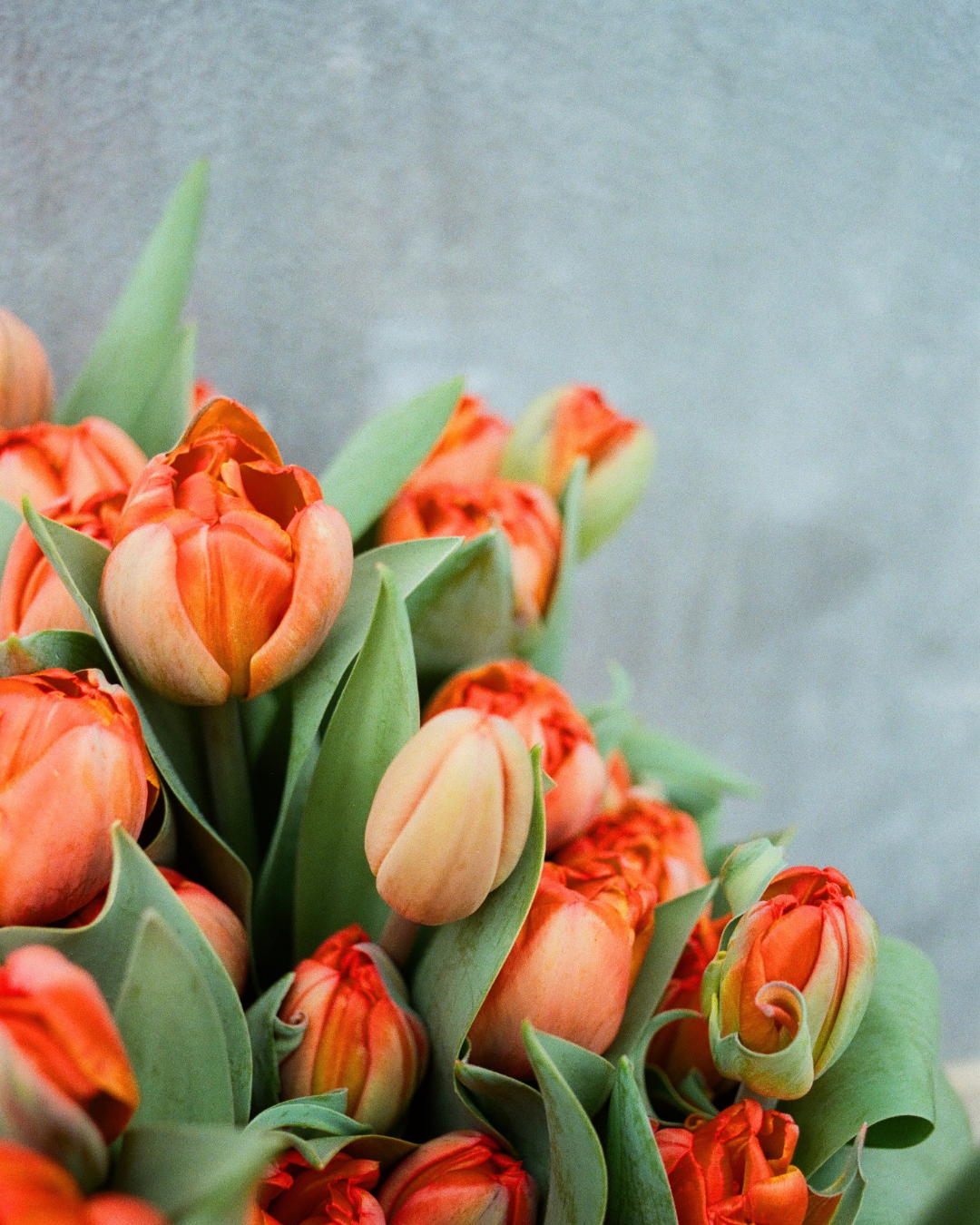 Happy Days in April and May!