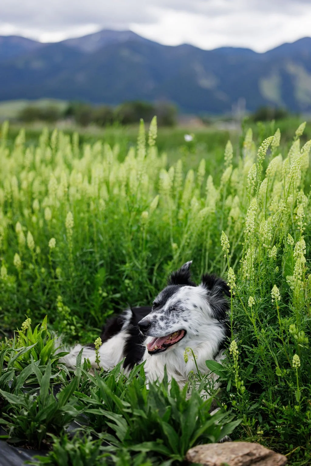 3L8A6907.jpg