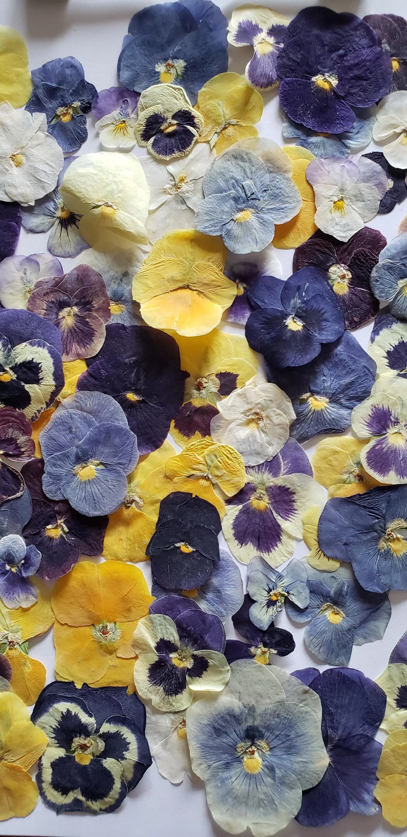 The Perfect Valentine's Duo: Flowers and Chocolate