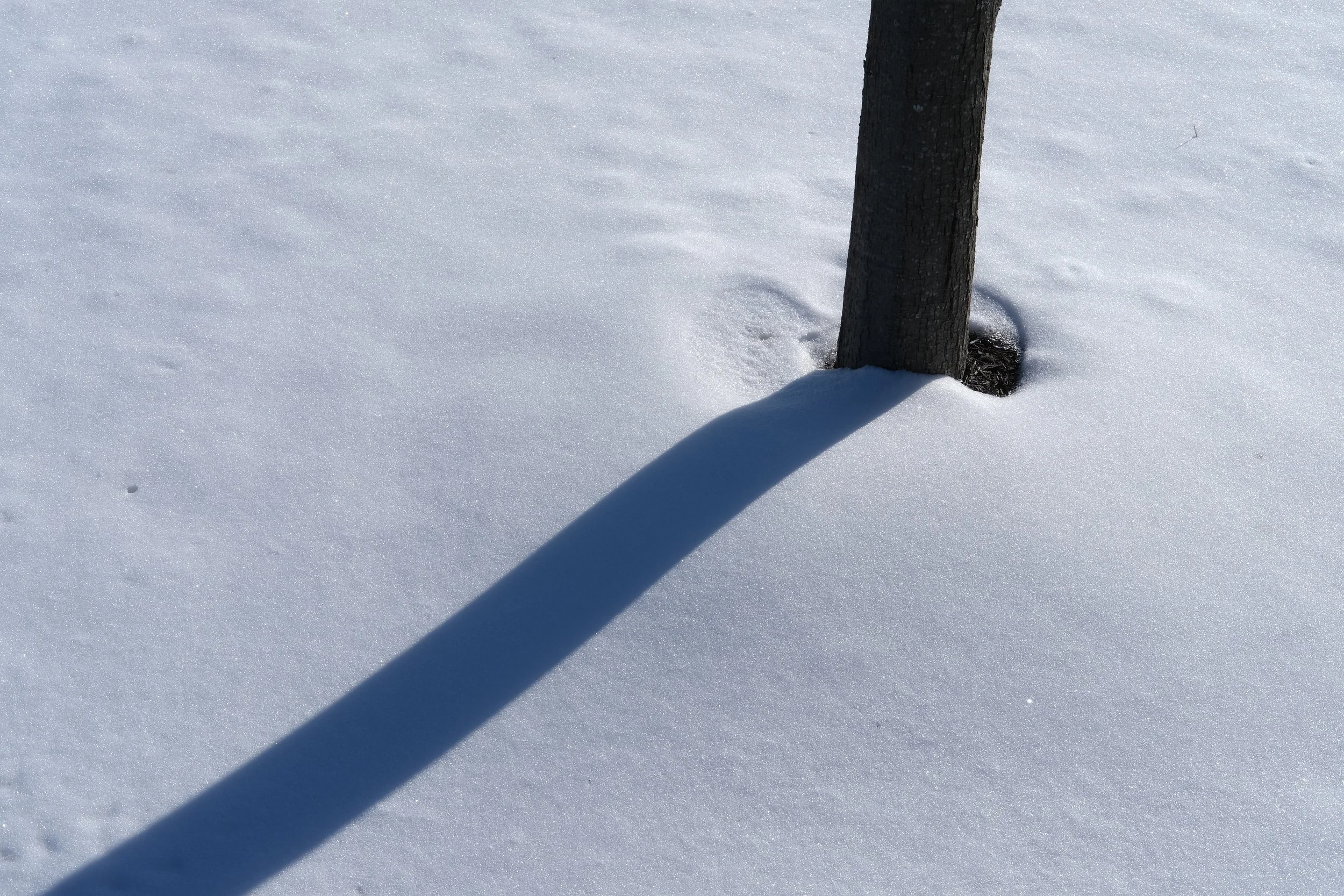 Winter, Photograph, 2023