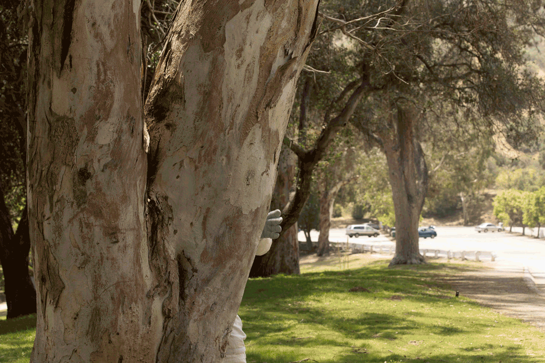 Astronaut_GriffithPark-743-new.gif