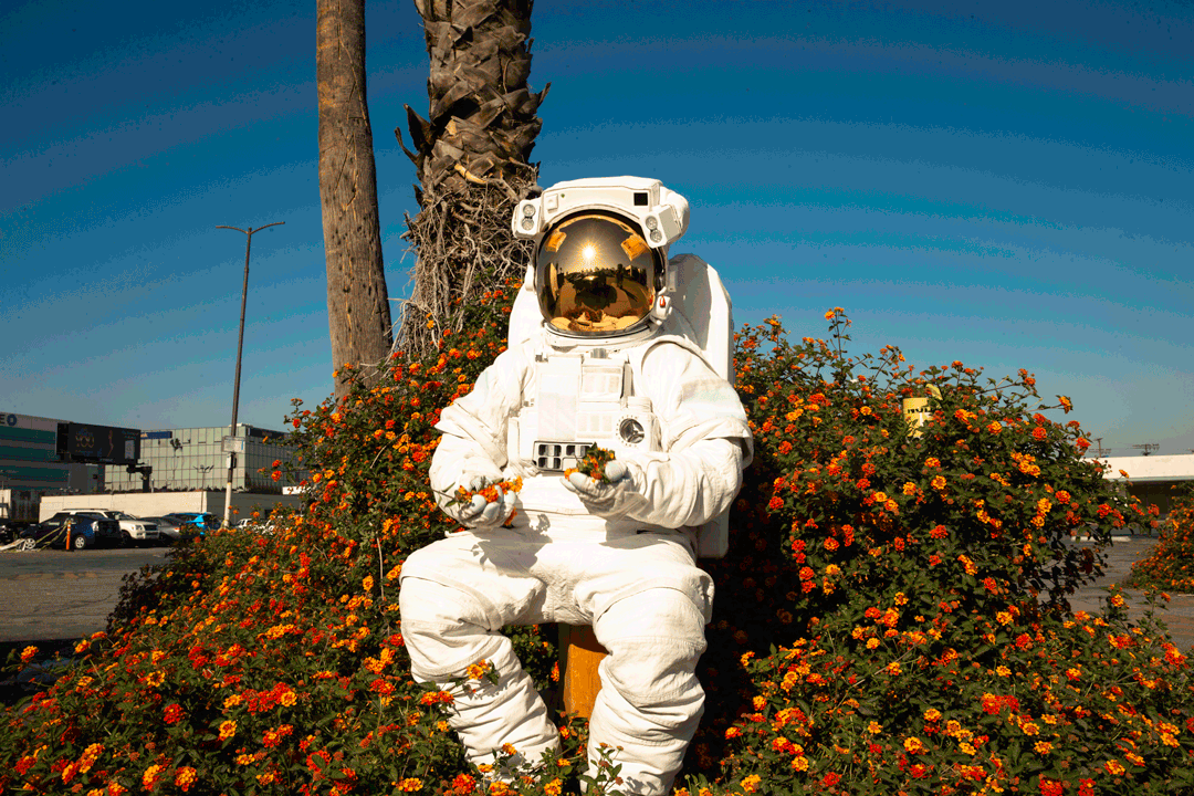 Astronaut_Park_606new.gif