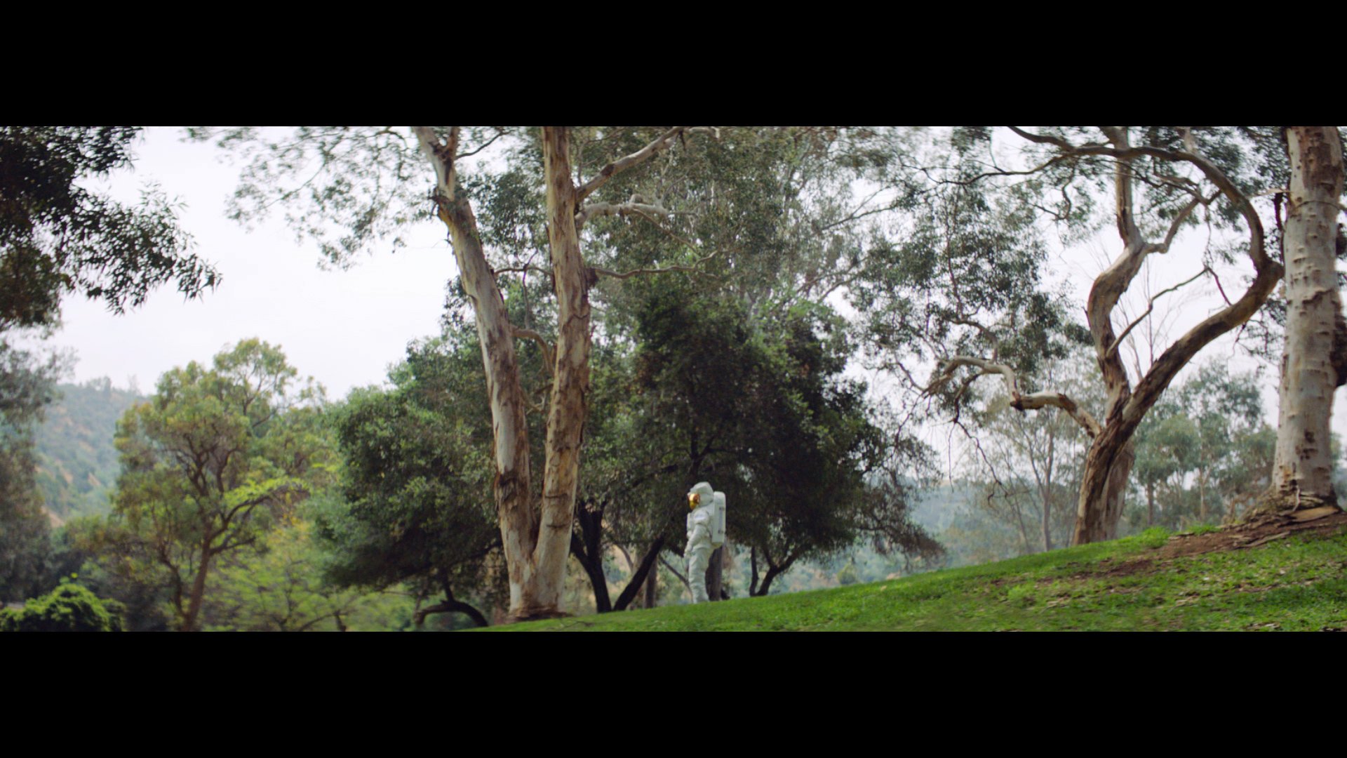 Love-Story-Longform-v37.2r2---no-lantana.01_00_59_08.Still014.jpg