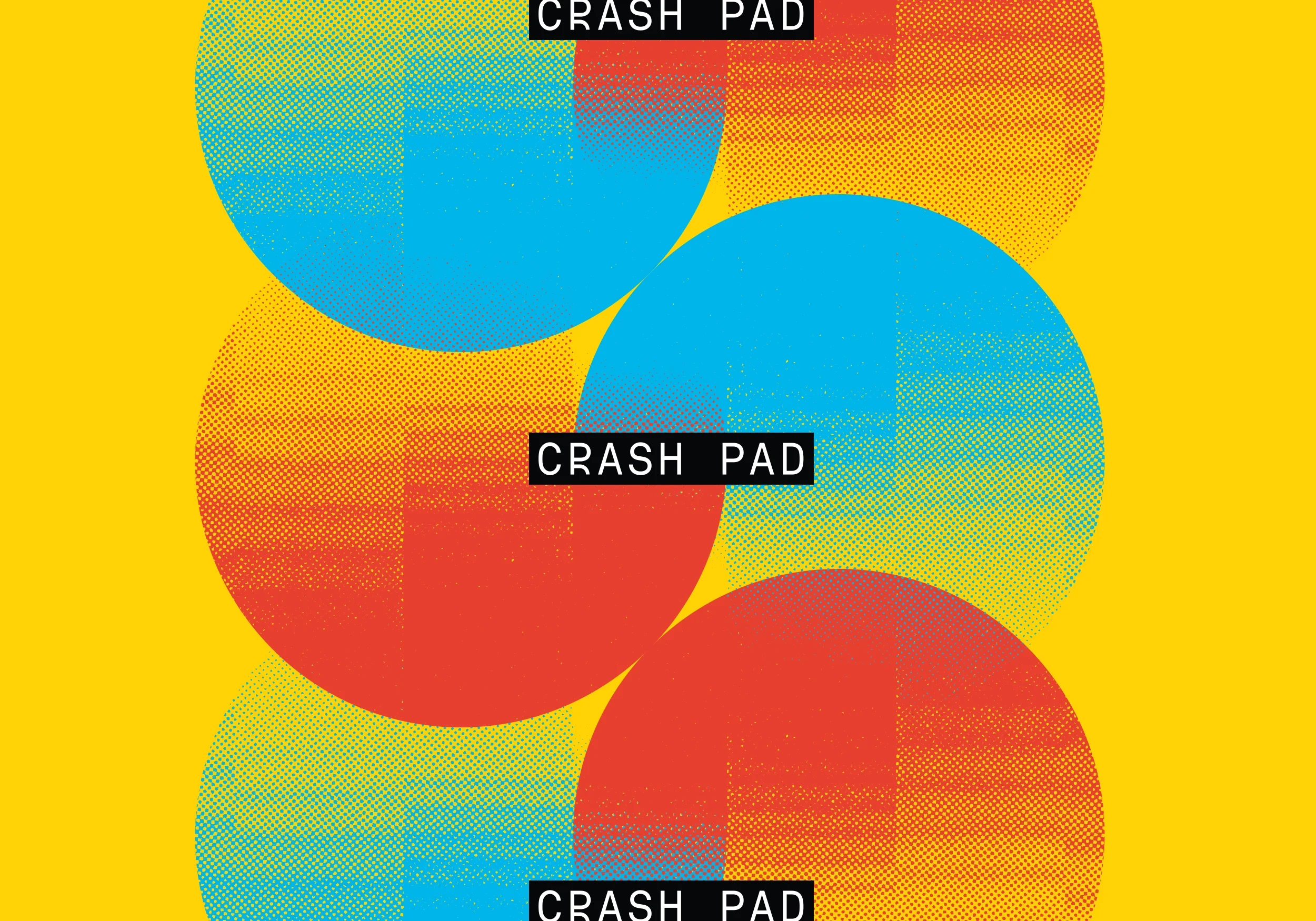 CrashPad_3.webp