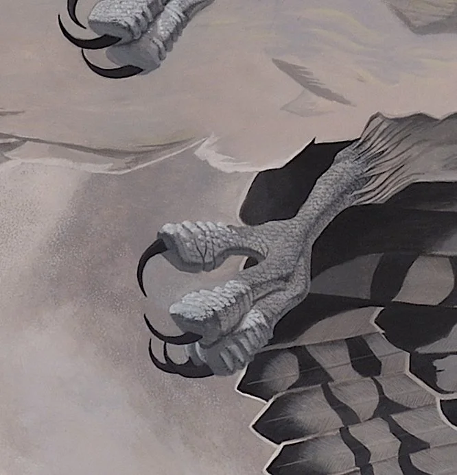 2012 Osprey detail 3.jpeg