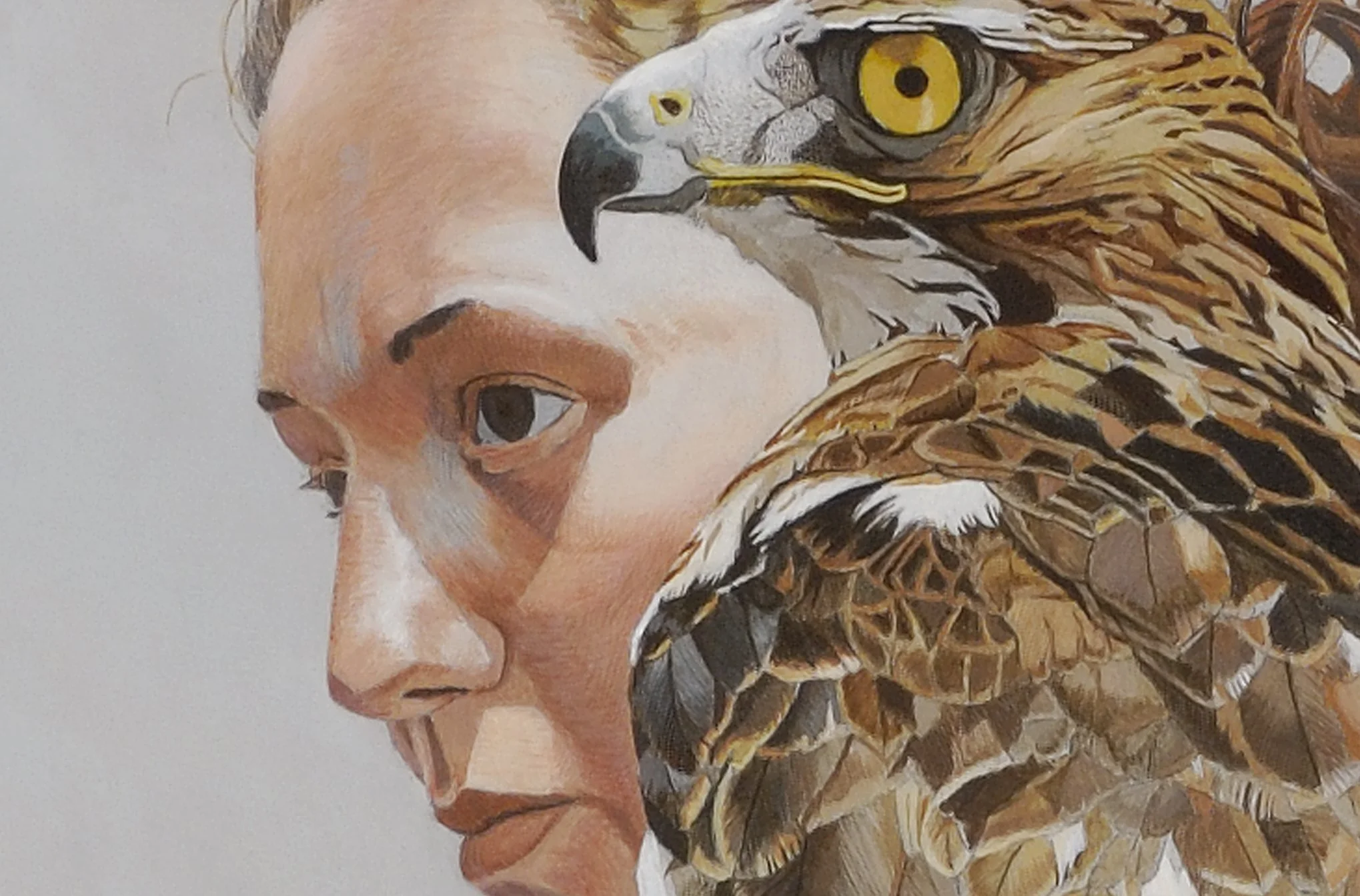 Ornithology (detail), acrylic on board.jpeg