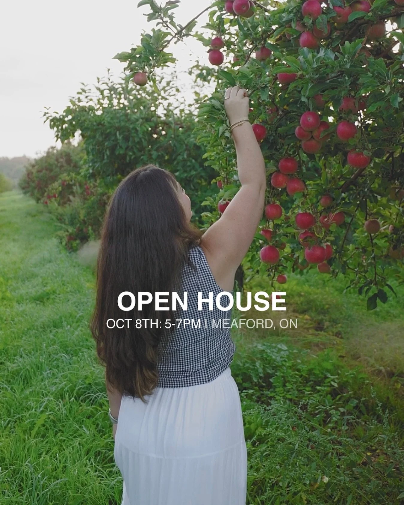 Come check out this beautiful apple orchard &amp; custom built home located at 245700 Sideroad 22 in Meaford, On on Wednesday, October 8th from 5-7pm.💌🍎 
there will be snacks &amp; a sunset! 🫶🏼