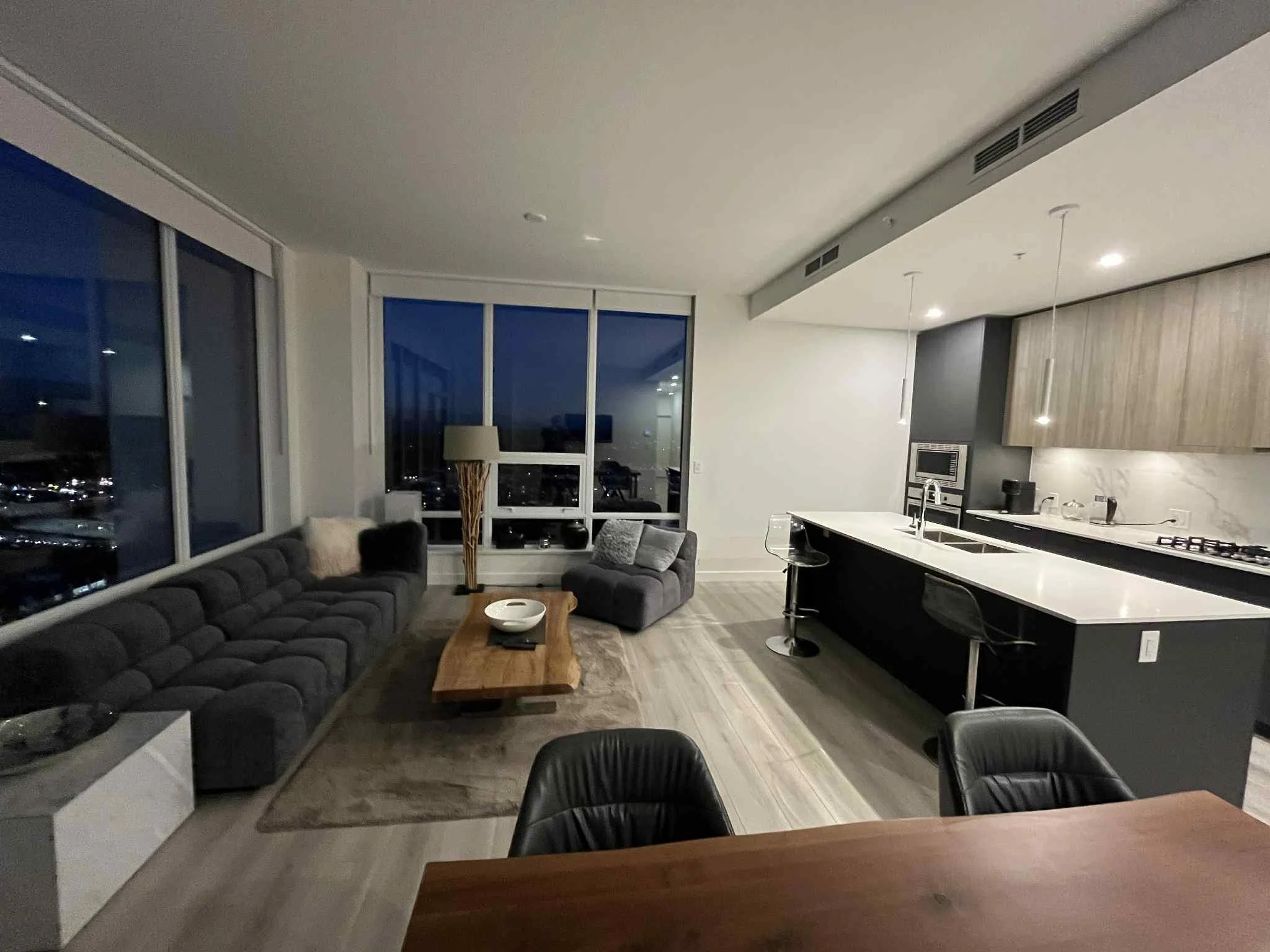 Living Room and kitchen.jpg