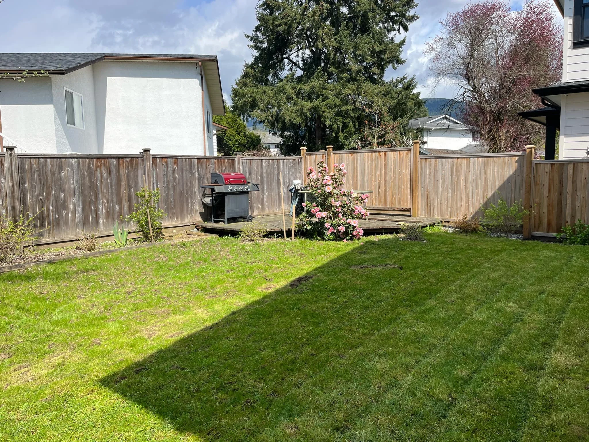 Back yard 02.jpg