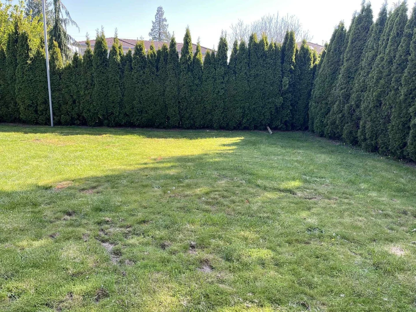 Shared backyard 02.jpg