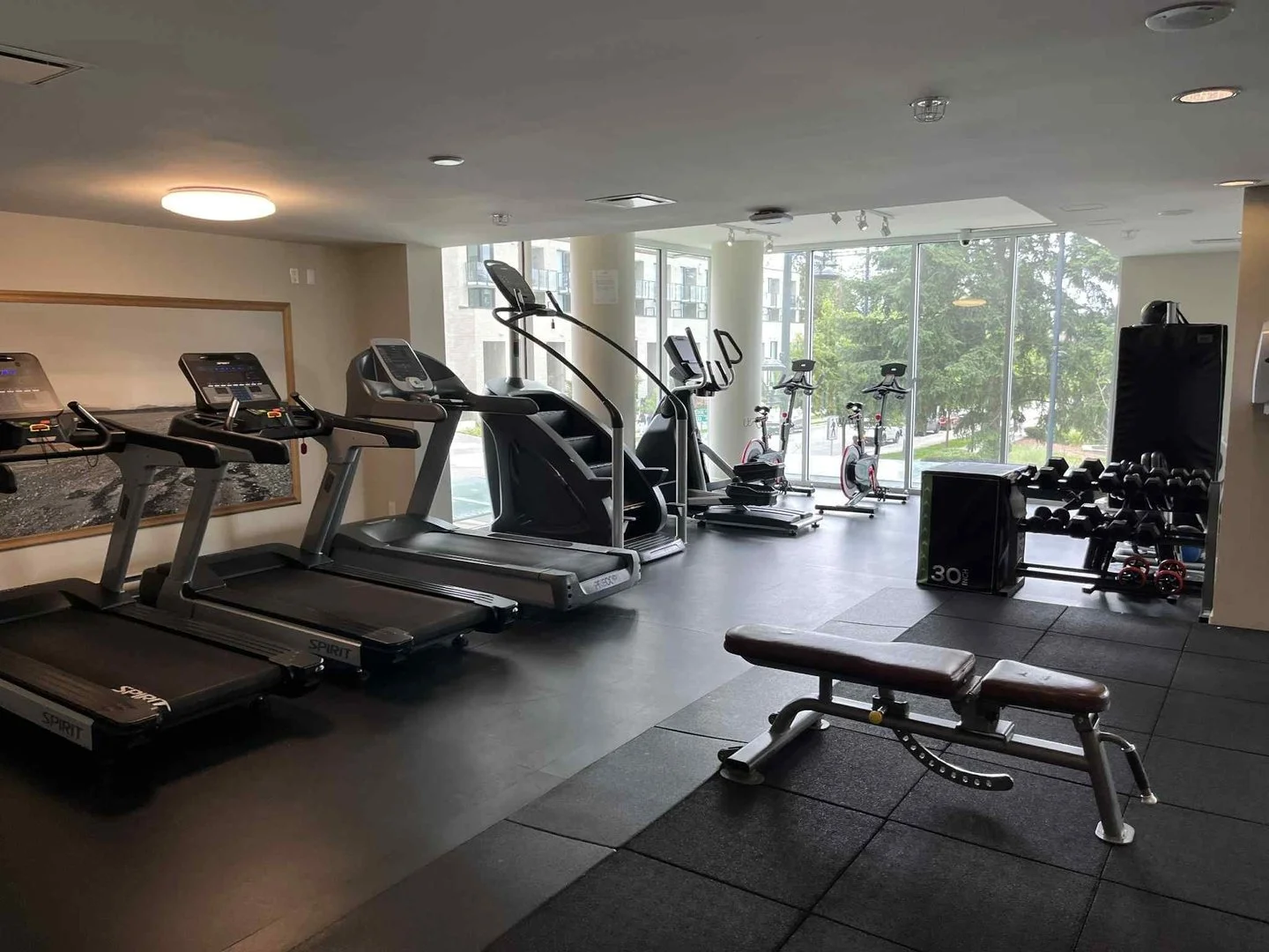 Gym 02.jpg