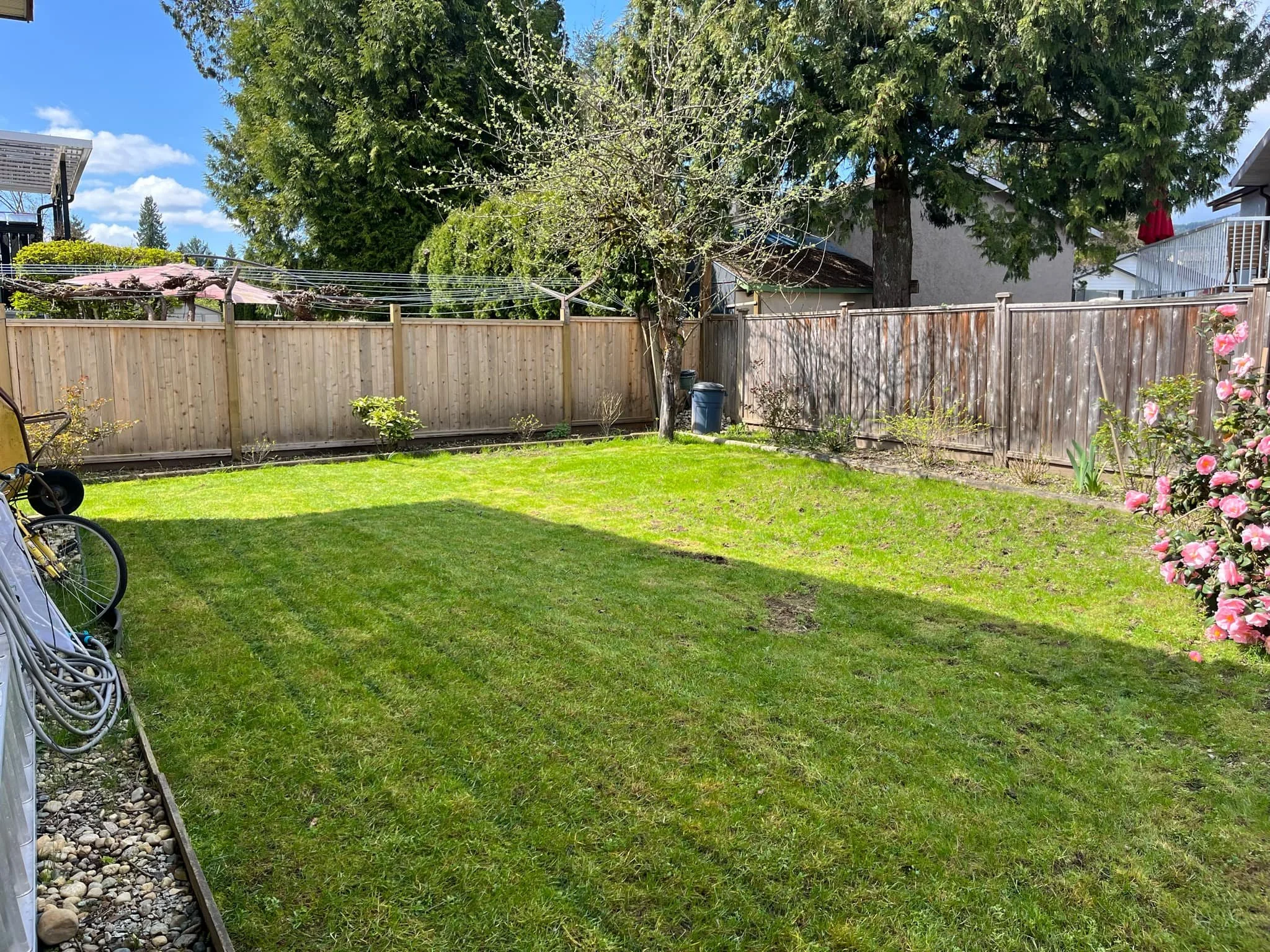 Back yard.jpg