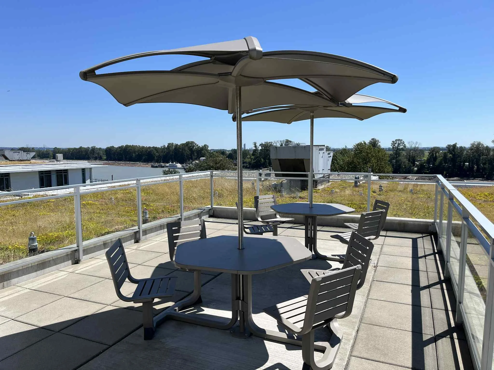 Rooftop Patio.jpg