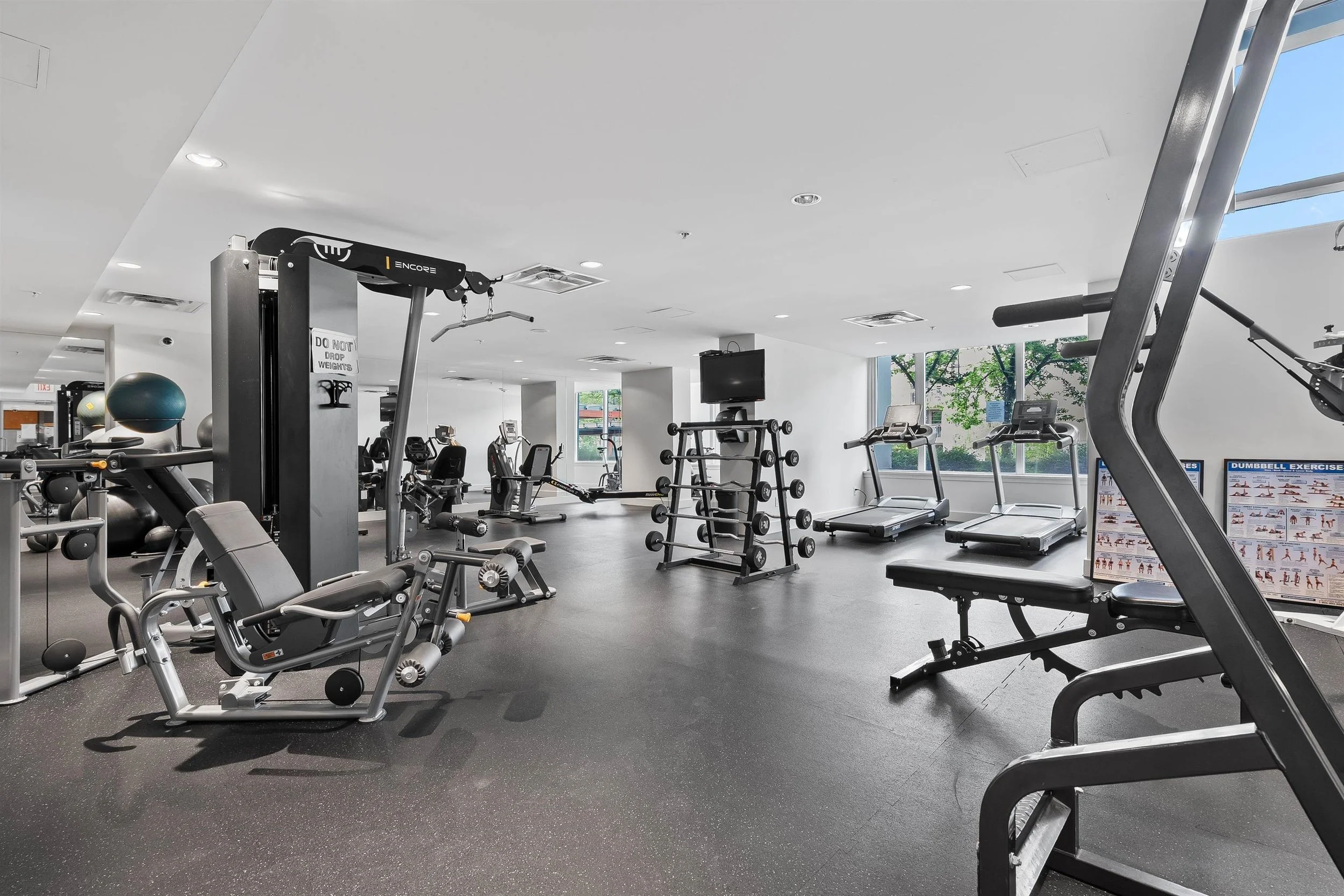 Gym.jpg