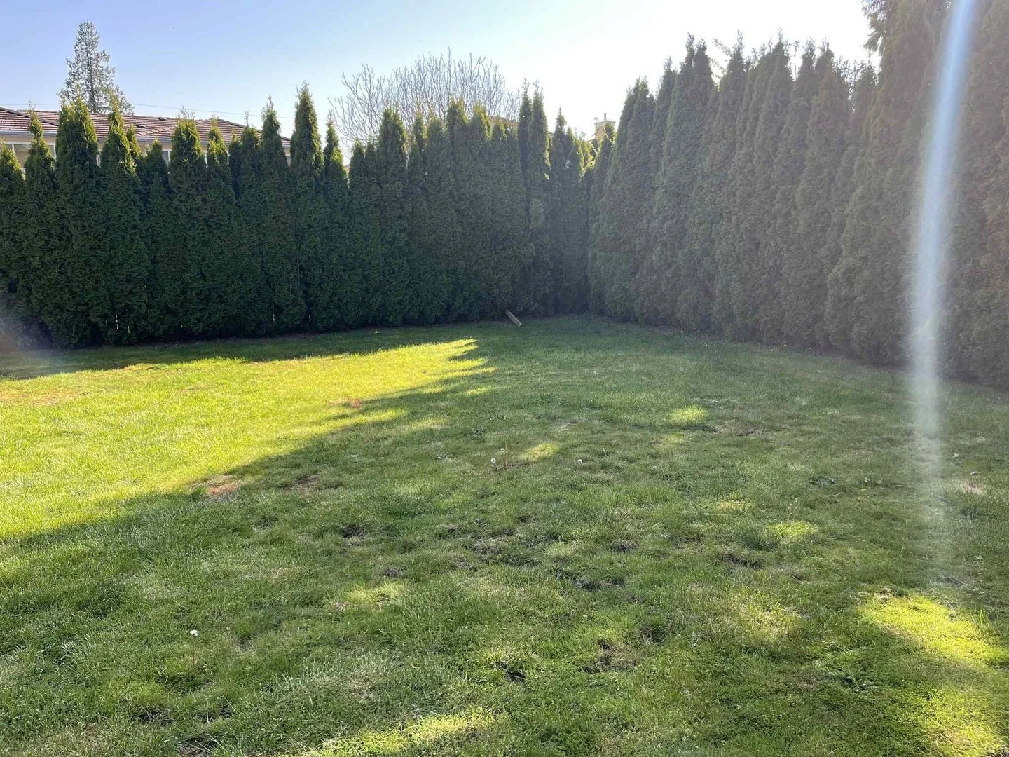 Shared backyard.jpg