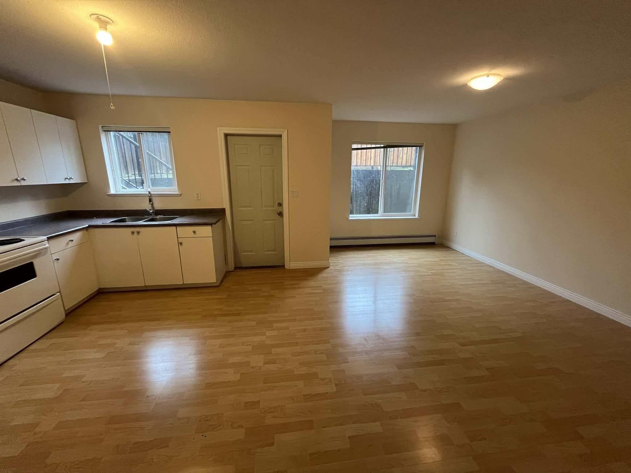 Living area and kitchen.jpg